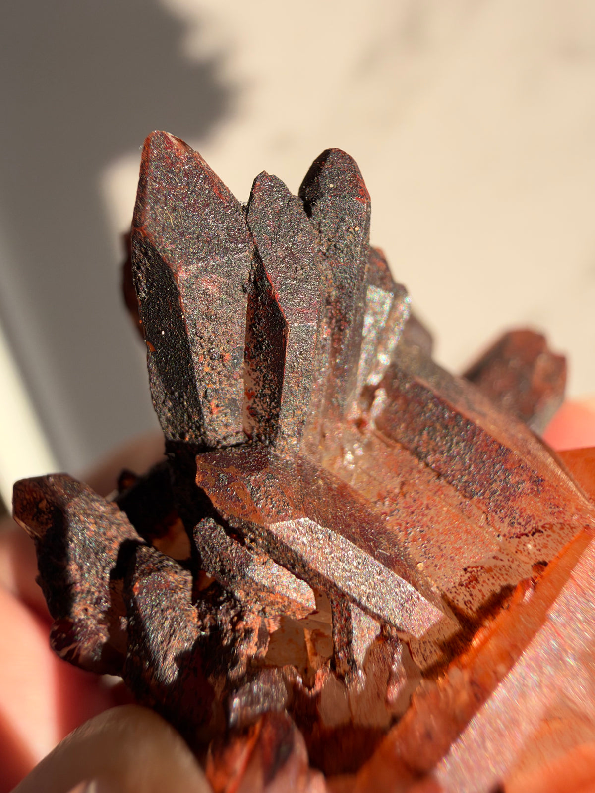 Ferruginous Quartz, Tinejdad, Morocco