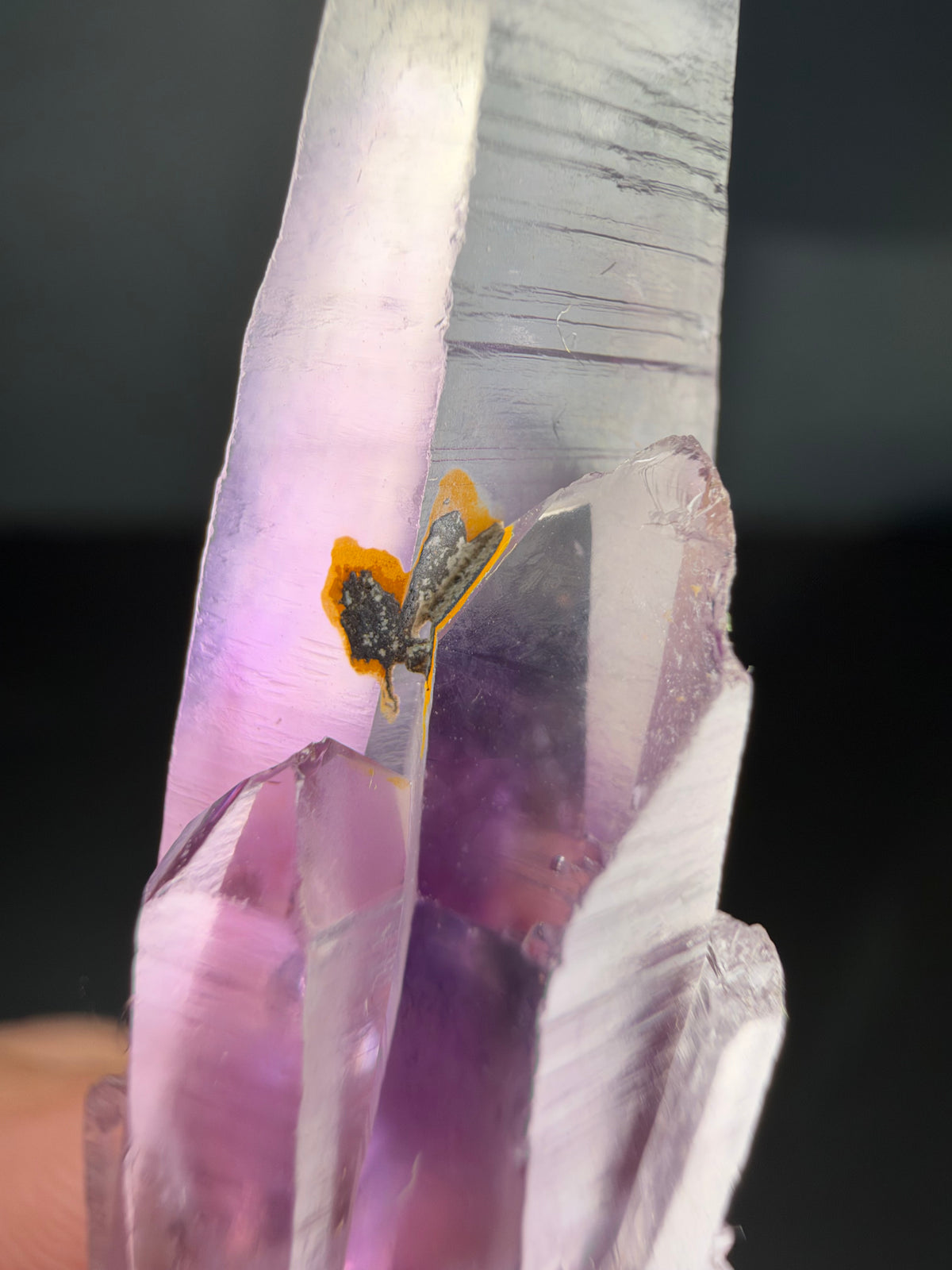 6.4cm Amethyst, Guerrero, Mexico