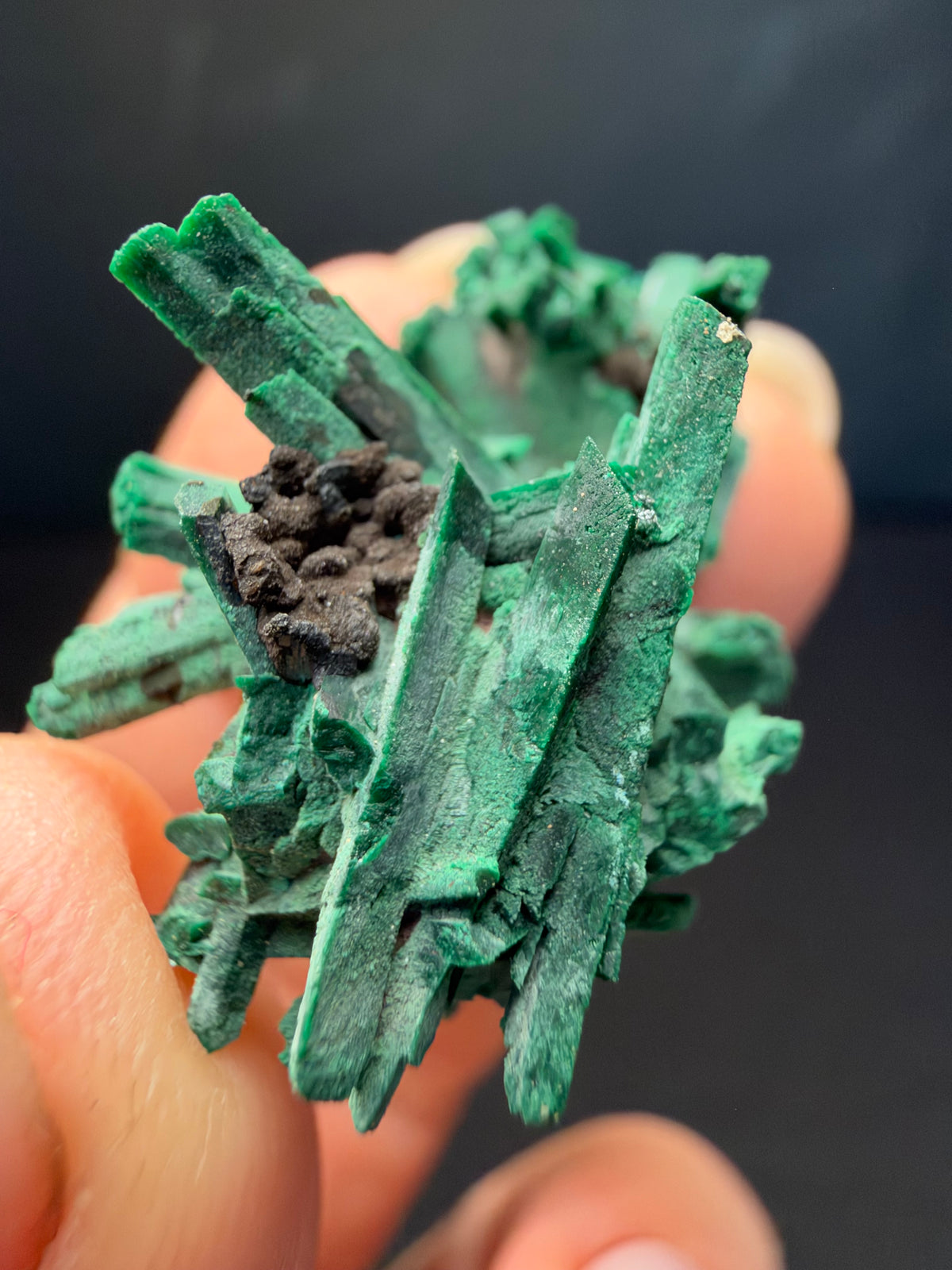 Malachite after Azurite (Pseudomorph), Kerrouchen, Morocco