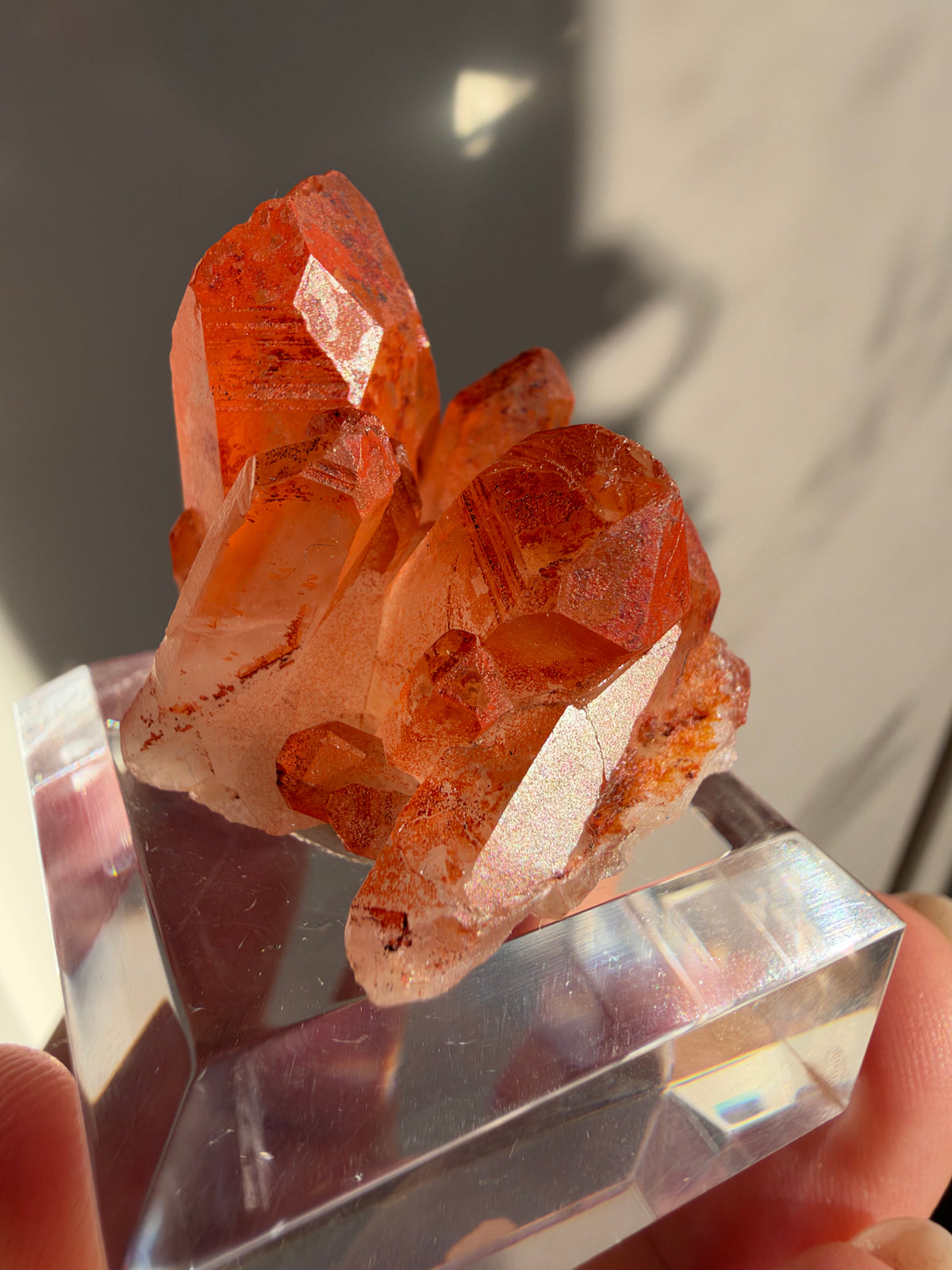 Ferruginous Quartz, Tinejdad, Morocco