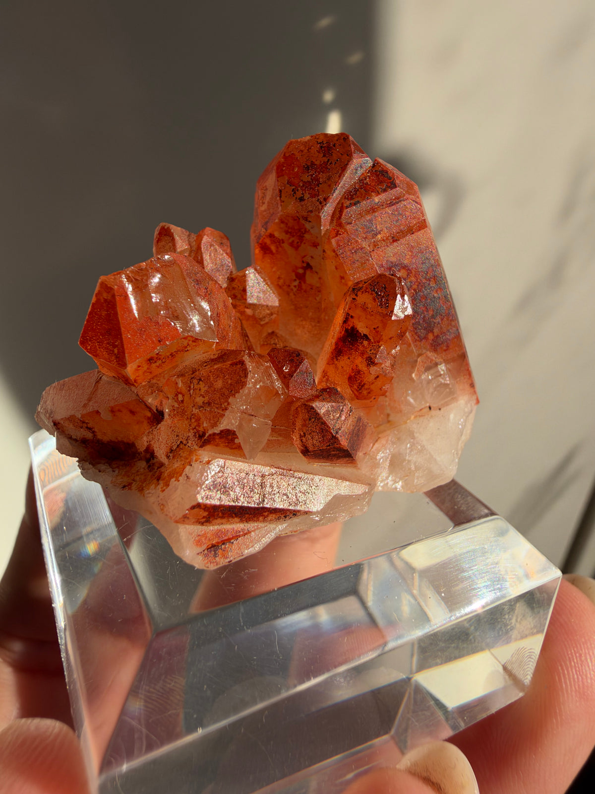 Ferruginous Quartz, Tinejdad, Morocco