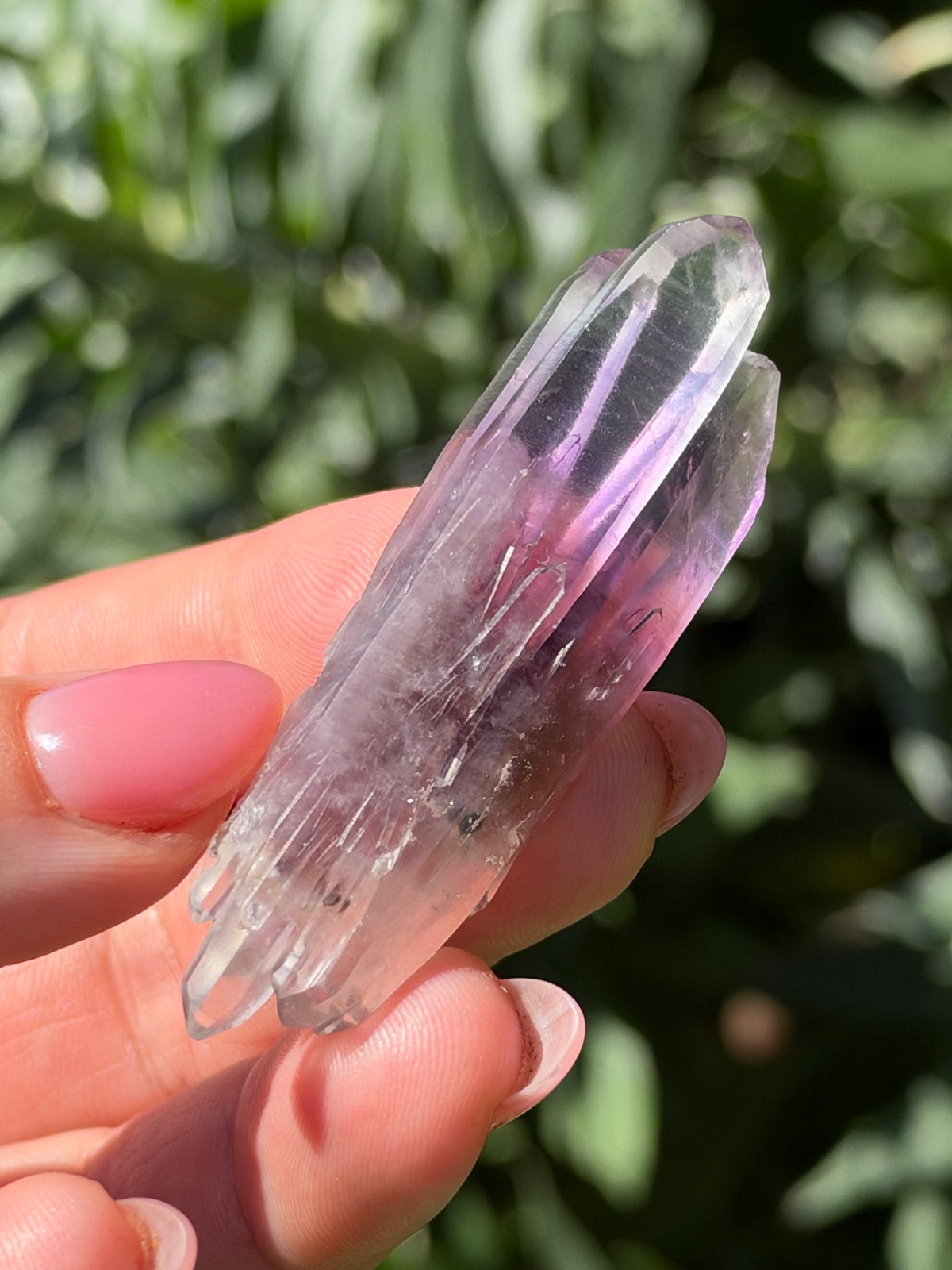6.3cm Bowtie Amethyst, Guerrero, Mexico