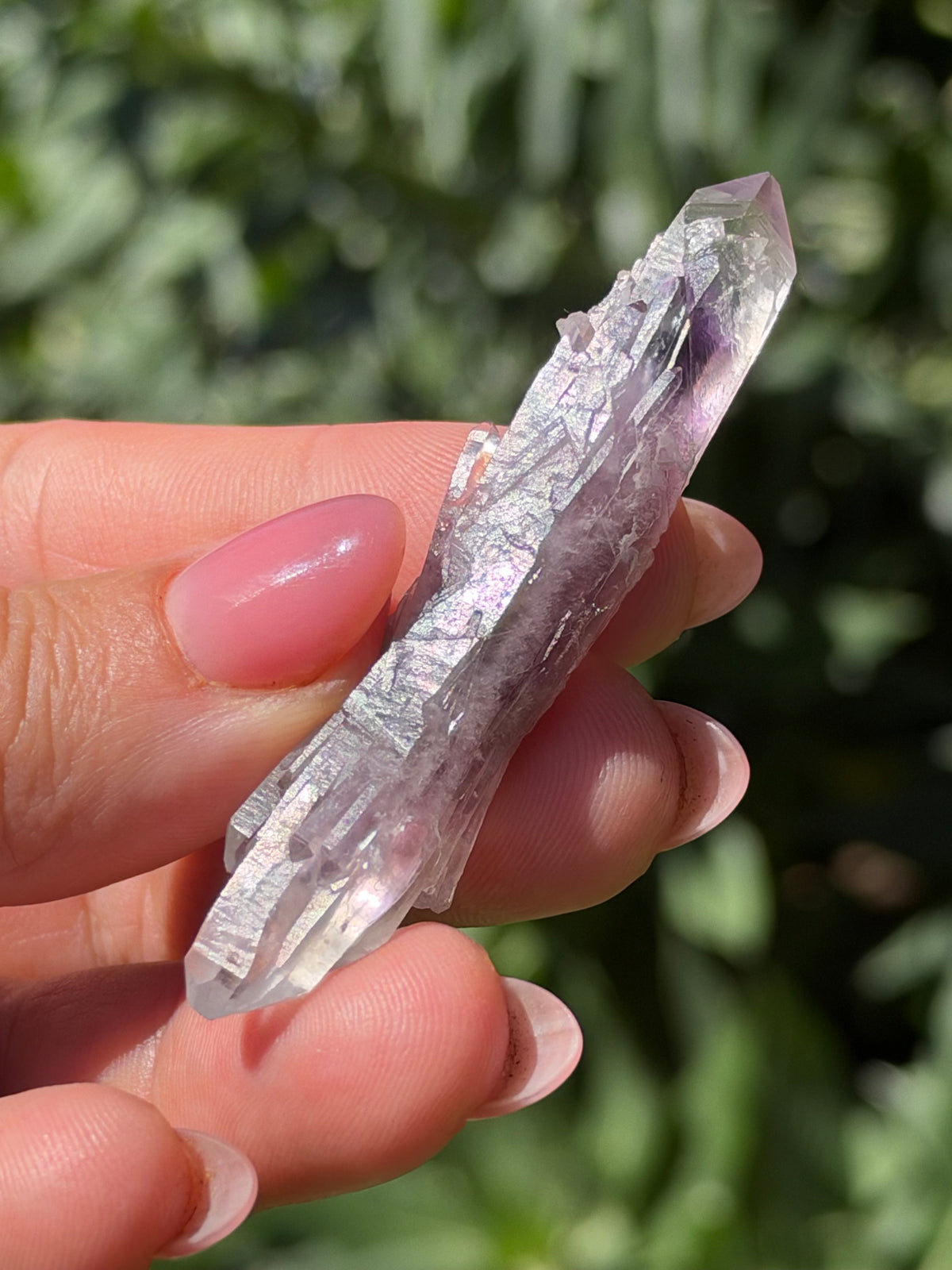 6.5cm Bowtie Amethyst, Guerrero, Mexico