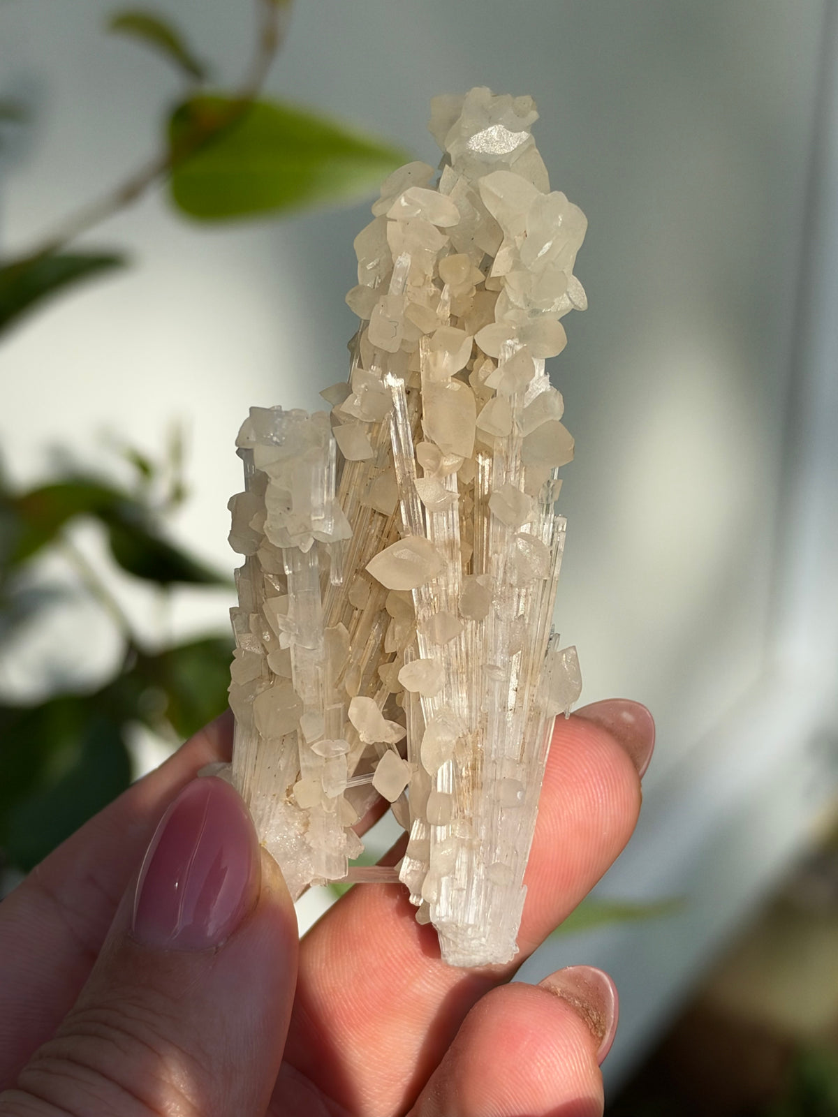 Calcite on Scolecite, Pune, India
