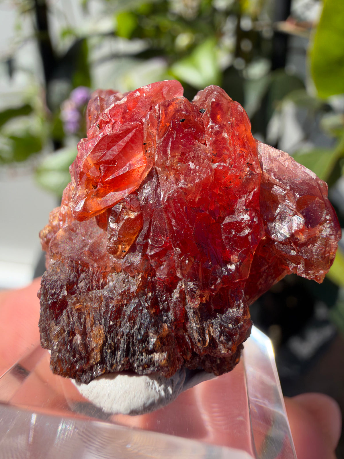 20.8g Rhodochrosite, N'Chwaning Mine, South Africa