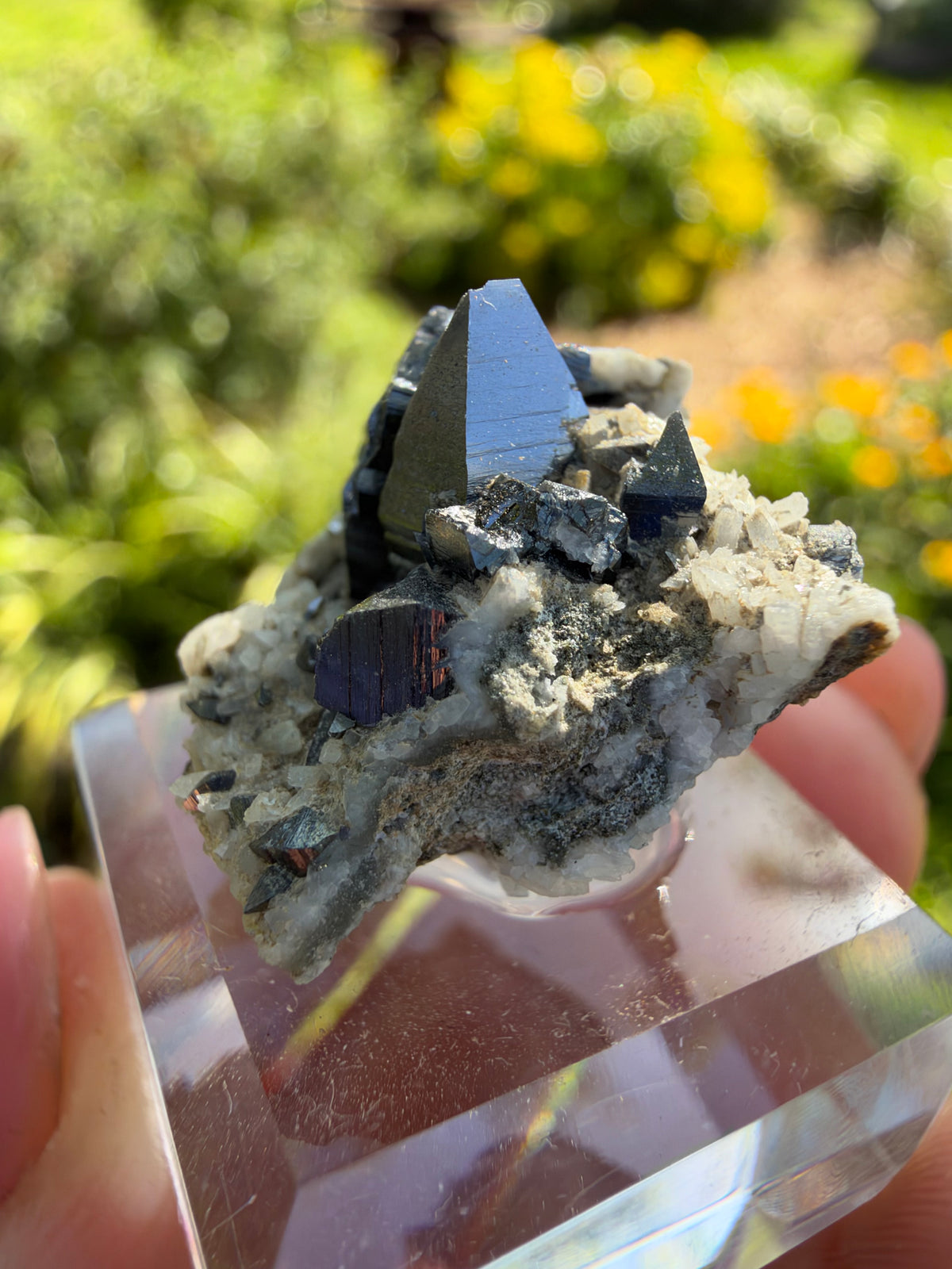 Anatase, Matskorhæ, Norway