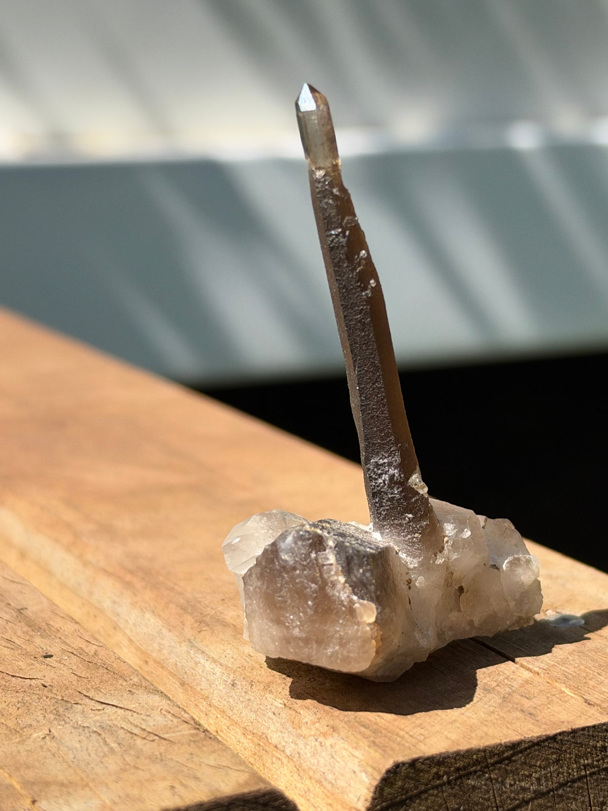 Smoky Quartz Scepter, Hallelujah Junction, Nevada, USA