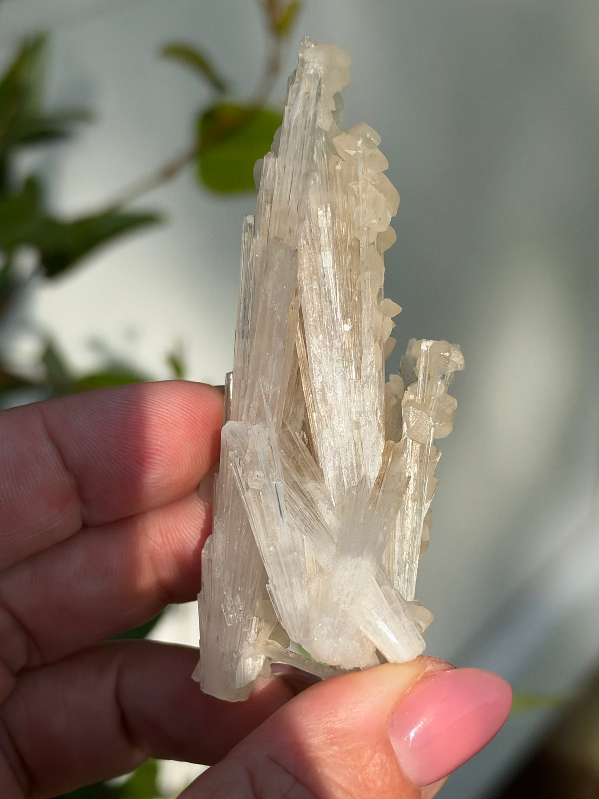Calcite on Scolecite, Pune, India
