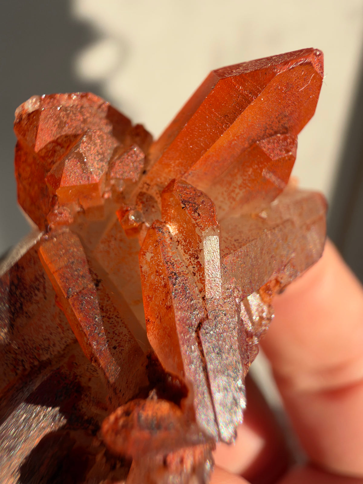 Ferruginous Quartz, Tinejdad, Morocco