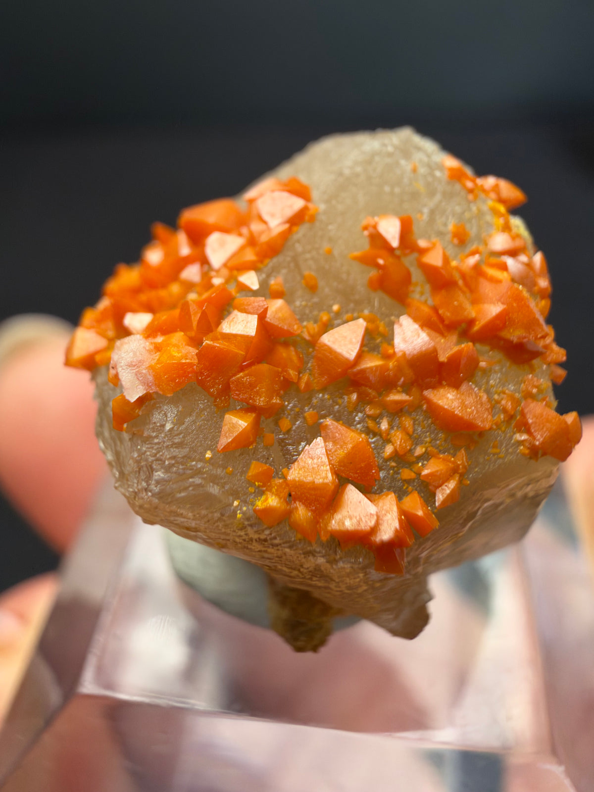 Wulfenite on Cerussite, Mibladen, Morocco