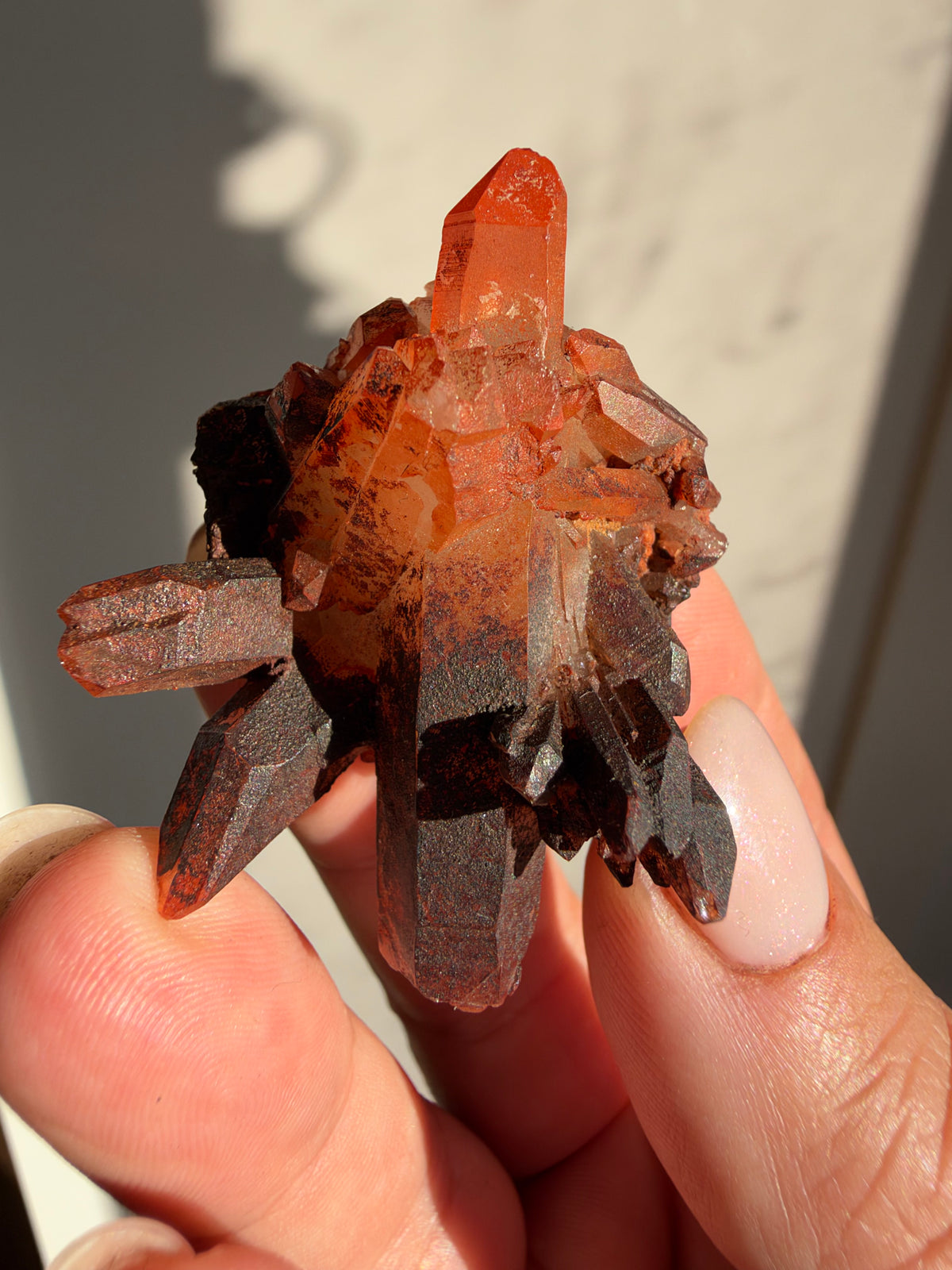 Ferruginous Quartz, Tinejdad, Morocco