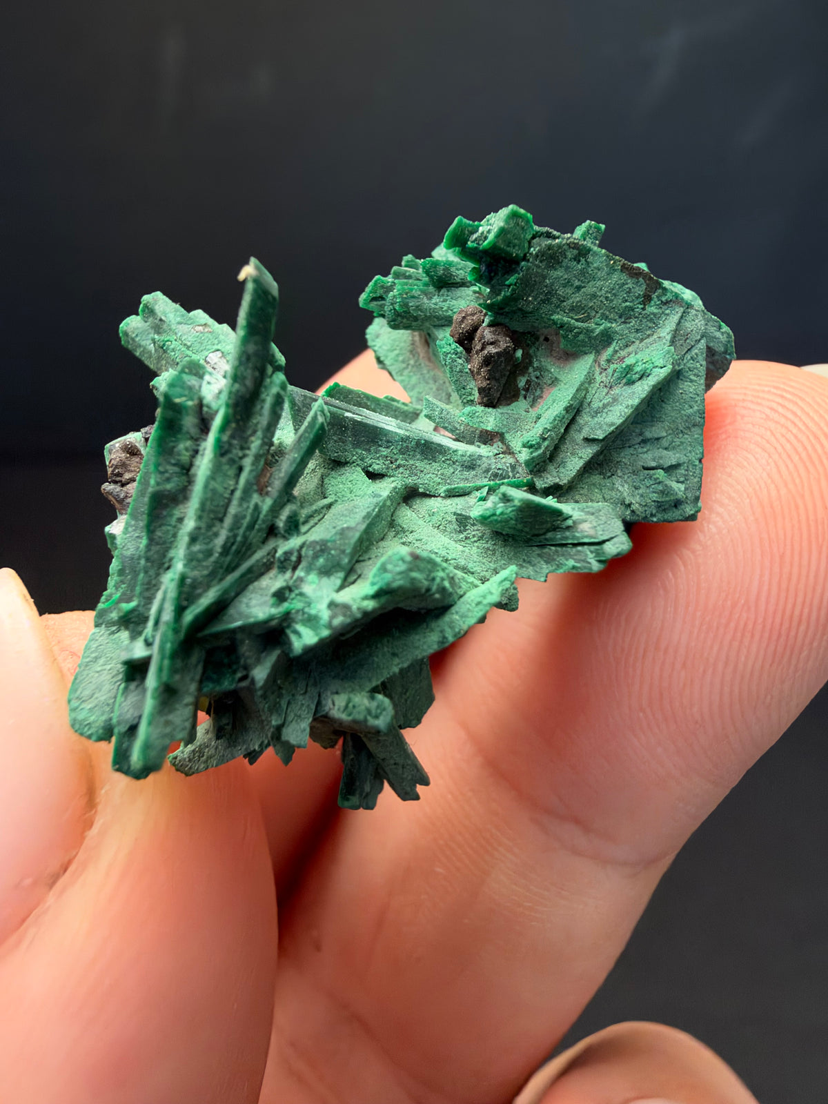 Malachite after Azurite (Pseudomorph), Kerrouchen, Morocco