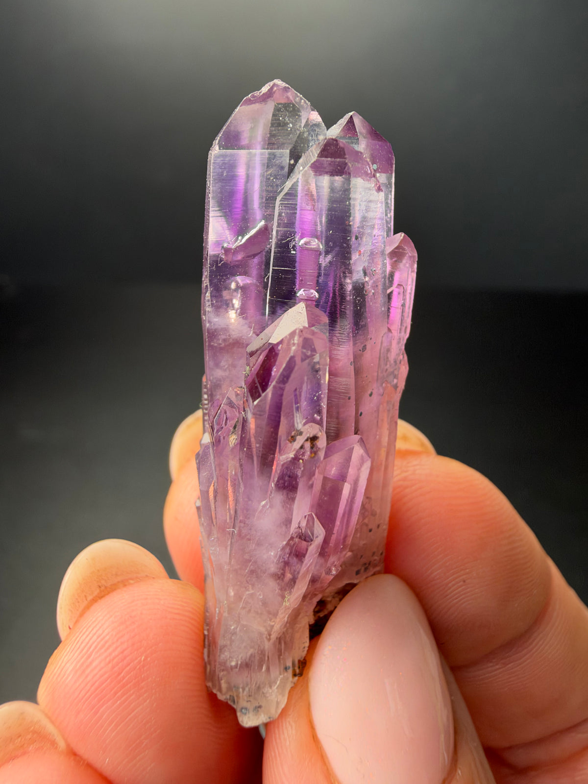 4.8cm Amethyst, Guerrero, Mexico