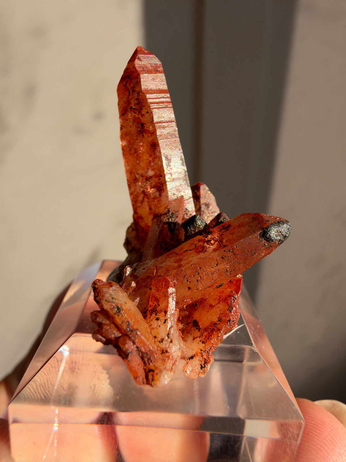 Ferruginous Quartz Miniature, Tinejdad, Morocco