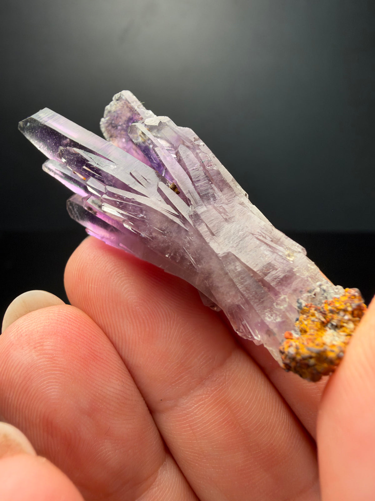 5.8cm Bowtie Amethyst, Guerrero, Mexico