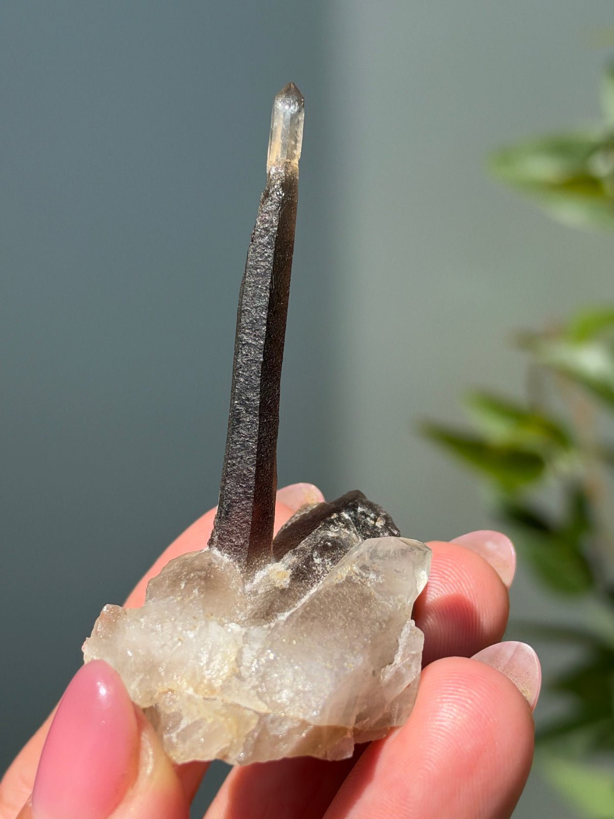 Smoky Quartz Scepter, Hallelujah Junction, Nevada, USA