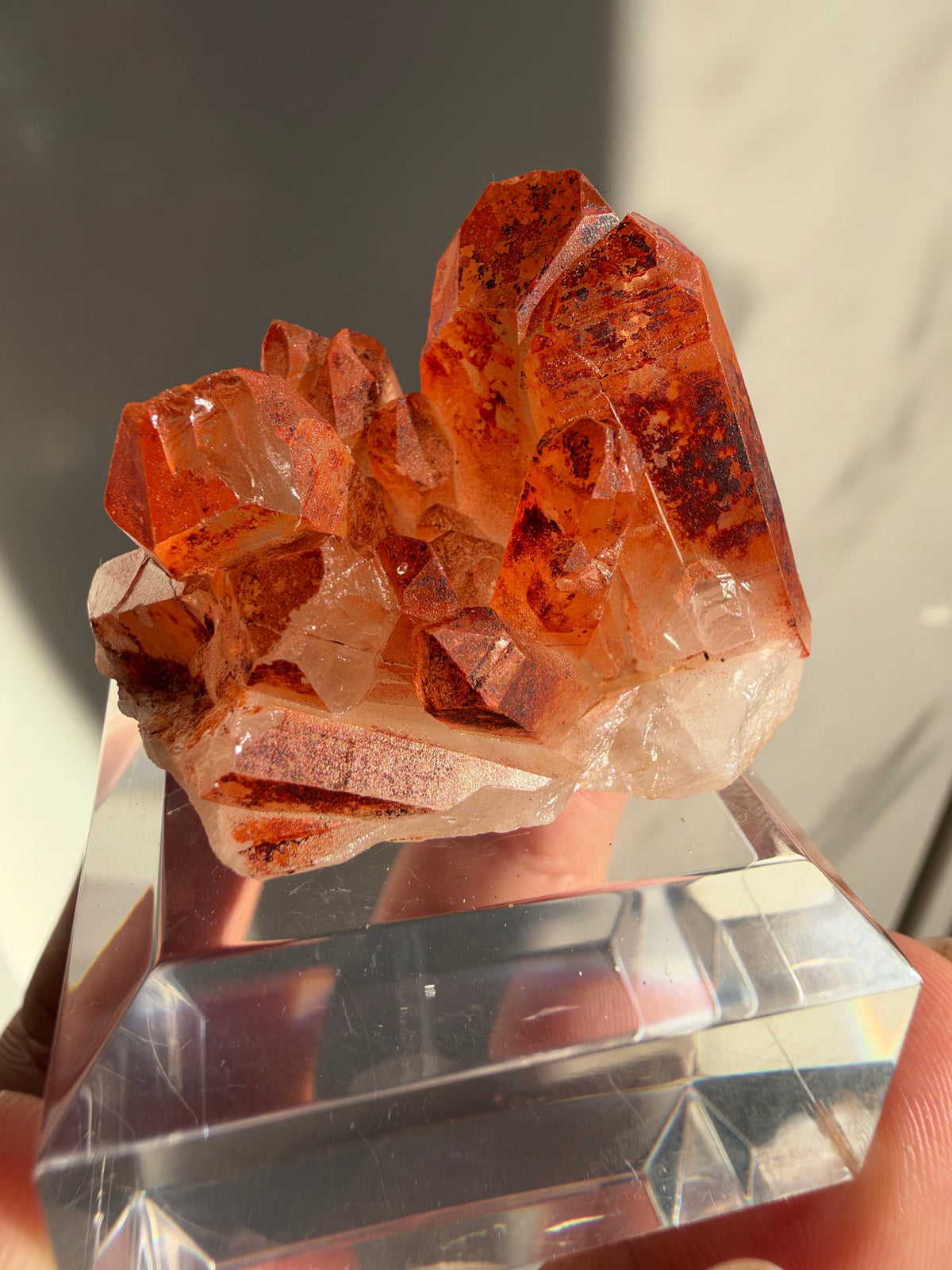 Ferruginous Quartz, Tinejdad, Morocco