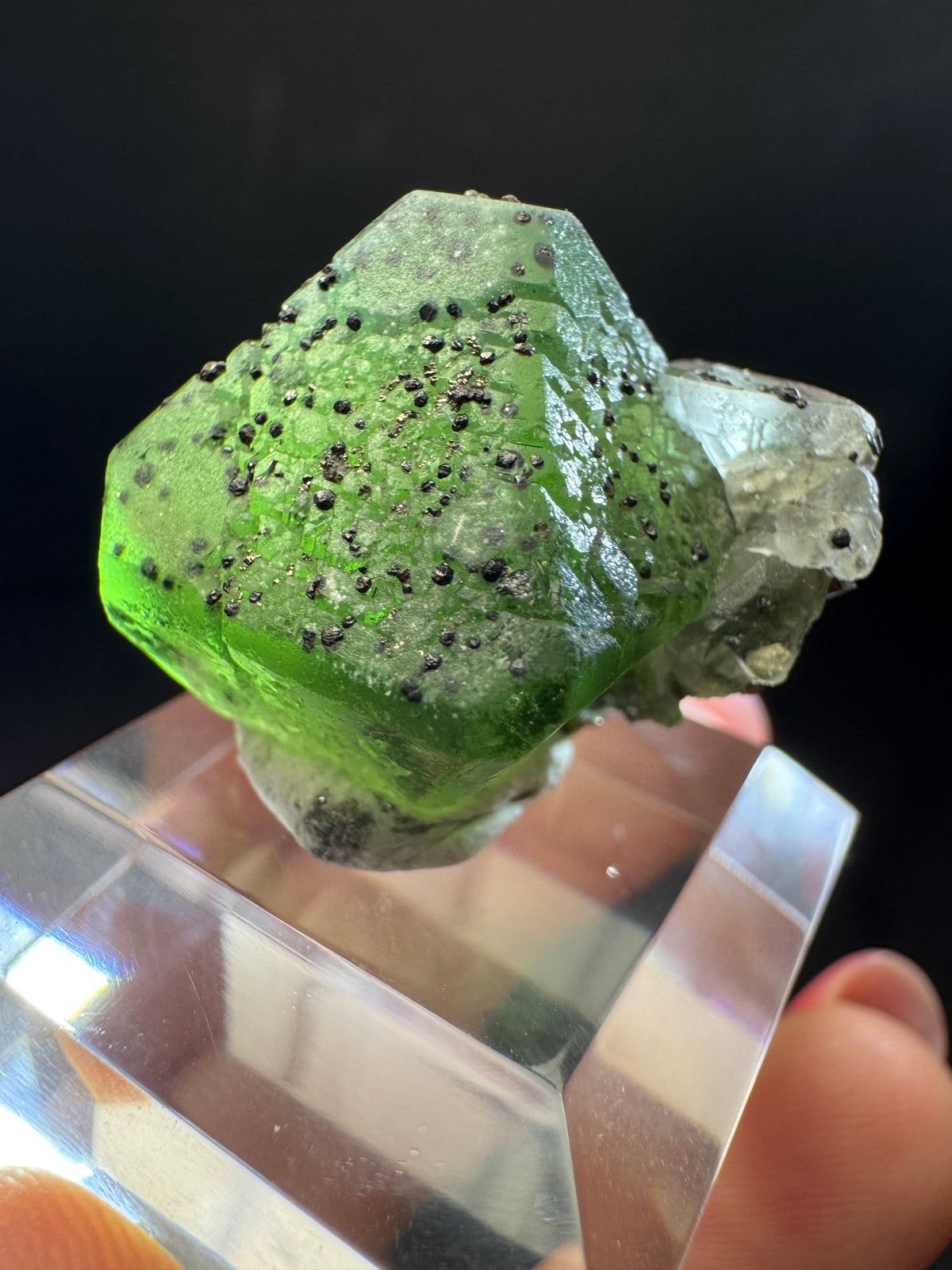 Fluorite with Sphalerite, Pyrite, Milpo Mine, Peru