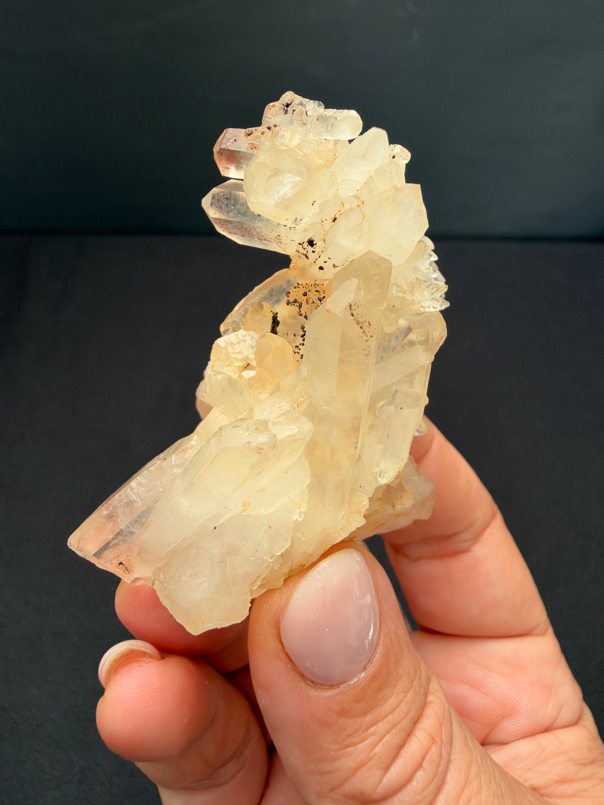 Faden Quartz with Hematite, Iouriren Mine, Morocco