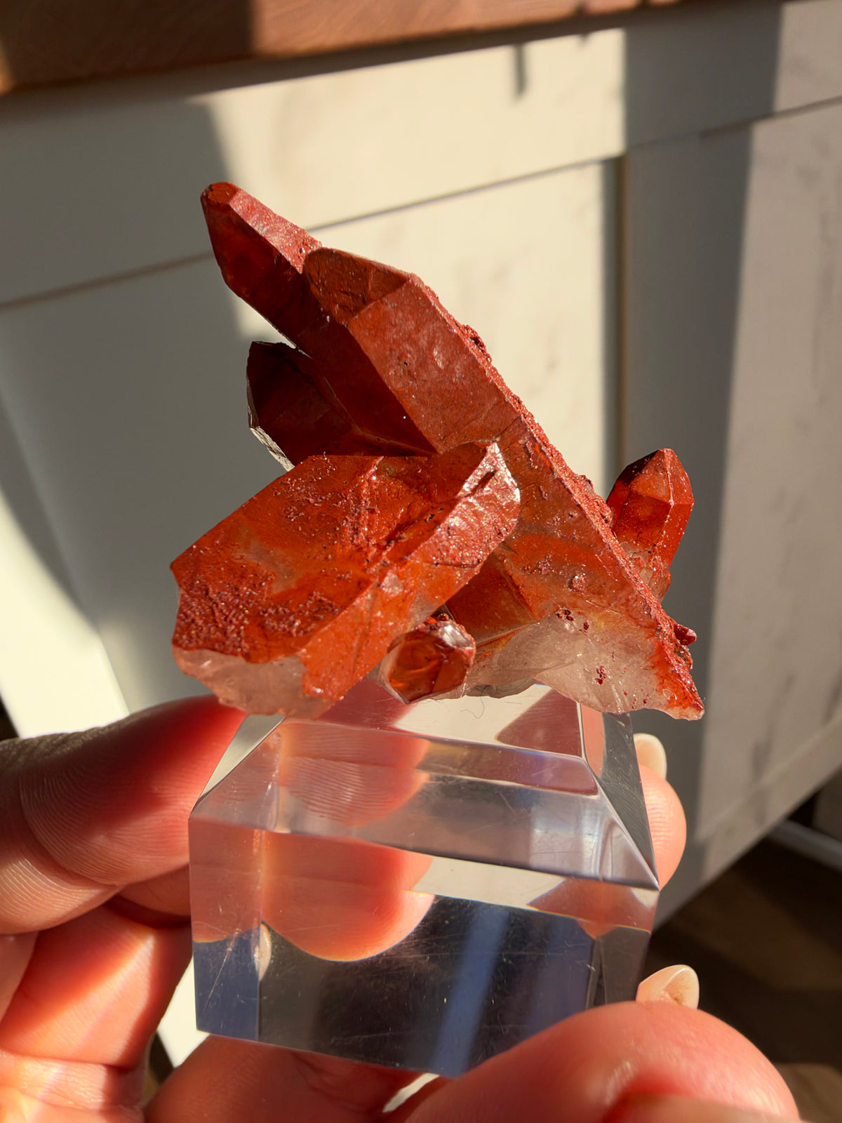 Ferruginous Quartz, Tinejdad, Morocco