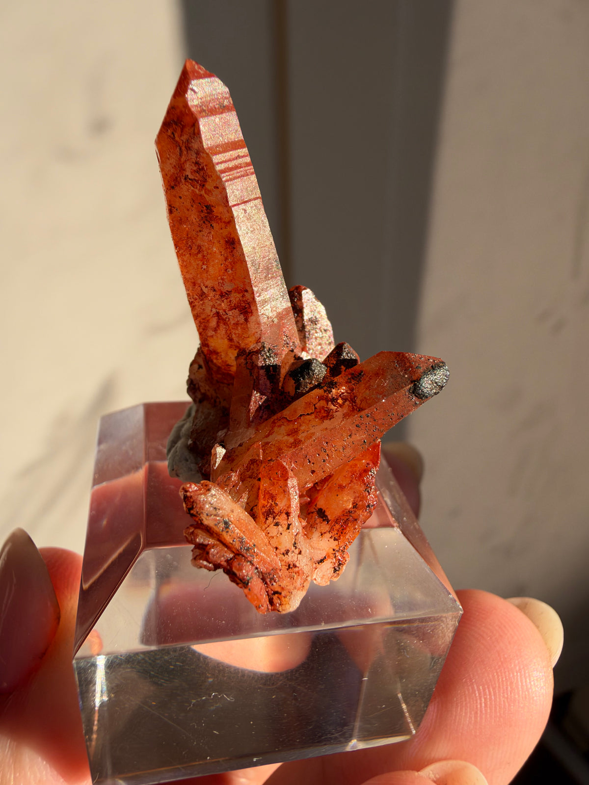 Ferruginous Quartz Miniature, Tinejdad, Morocco