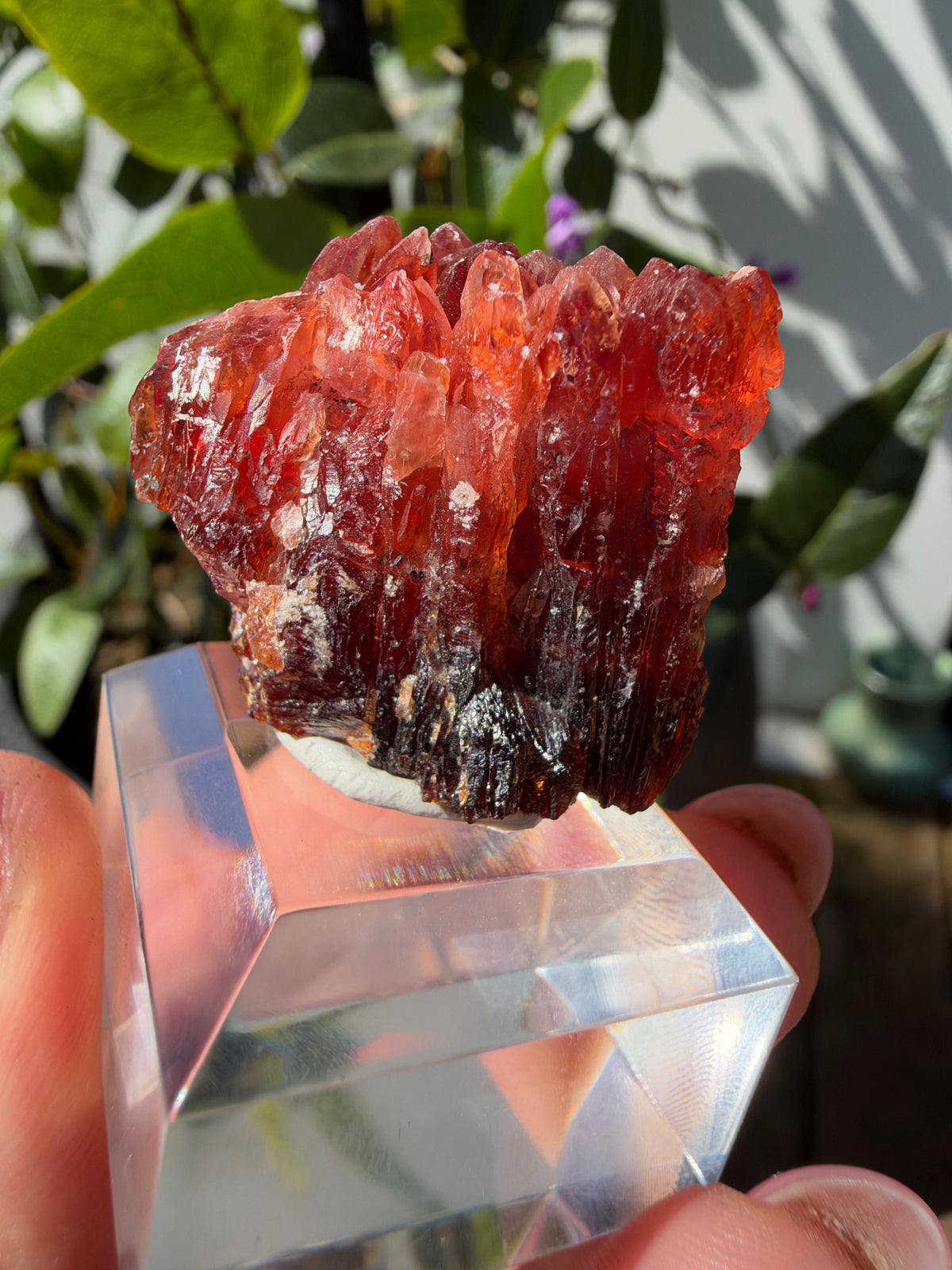 20.8g Rhodochrosite, N'Chwaning Mine, South Africa