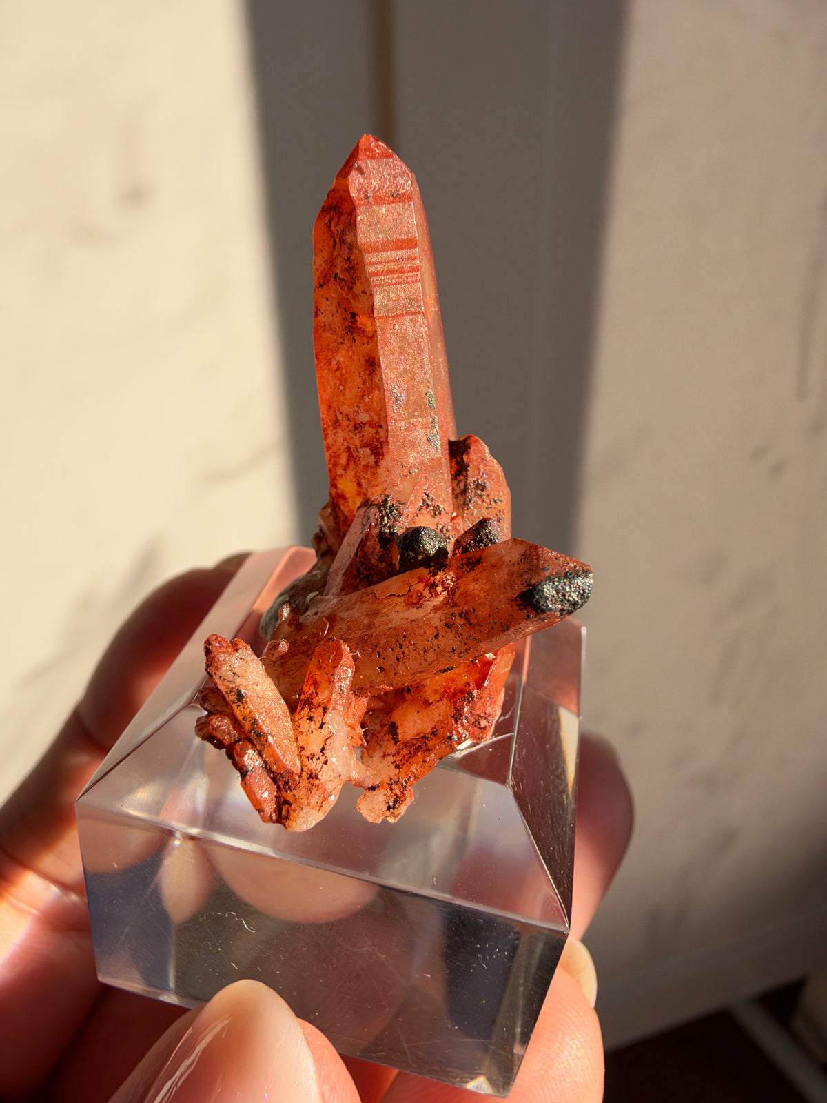 Ferruginous Quartz Miniature, Tinejdad, Morocco