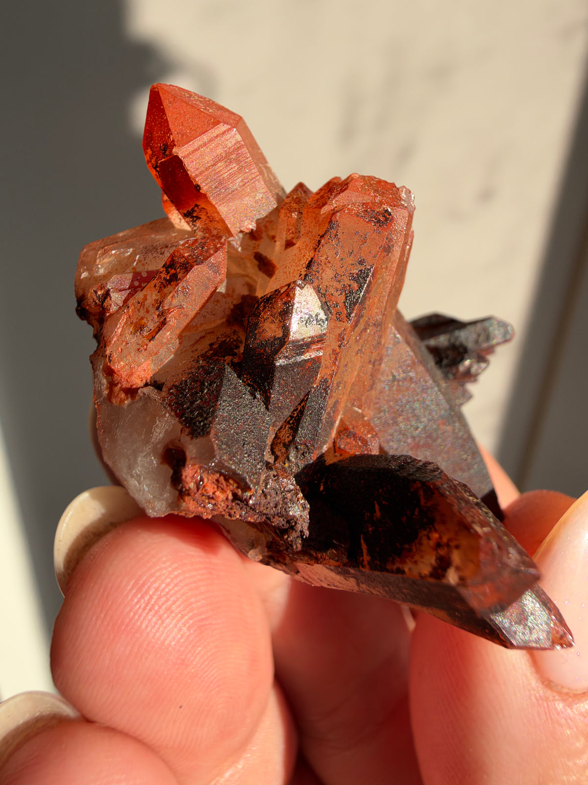 Ferruginous Quartz, Tinejdad, Morocco