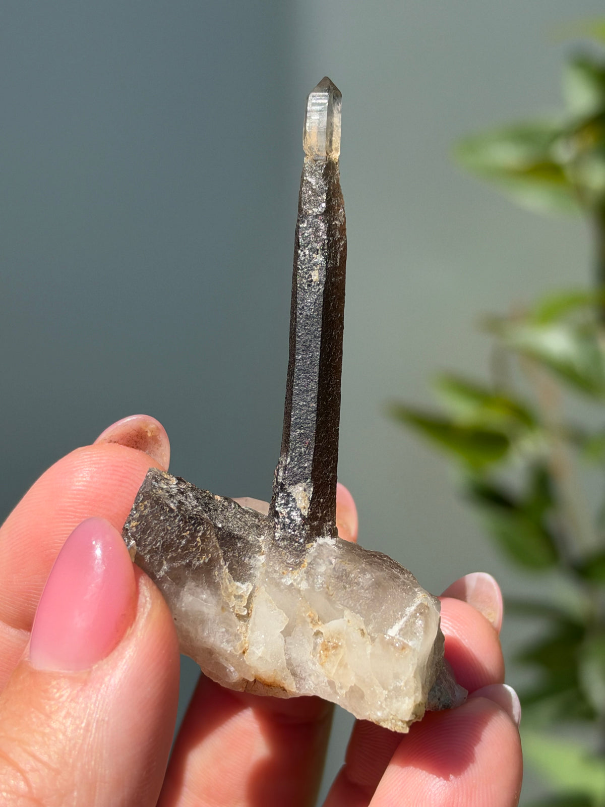 Smoky Quartz Scepter, Hallelujah Junction, Nevada, USA