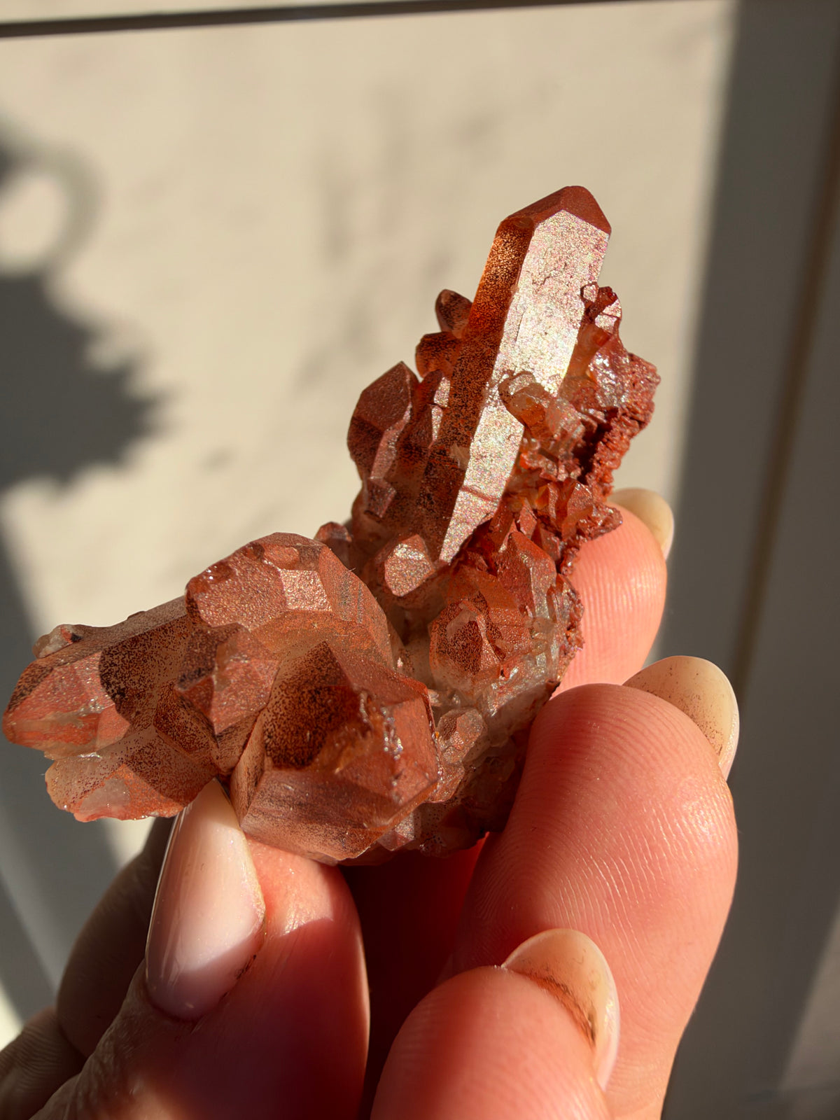 Ferruginous Quartz, Tinejdad, Morocco