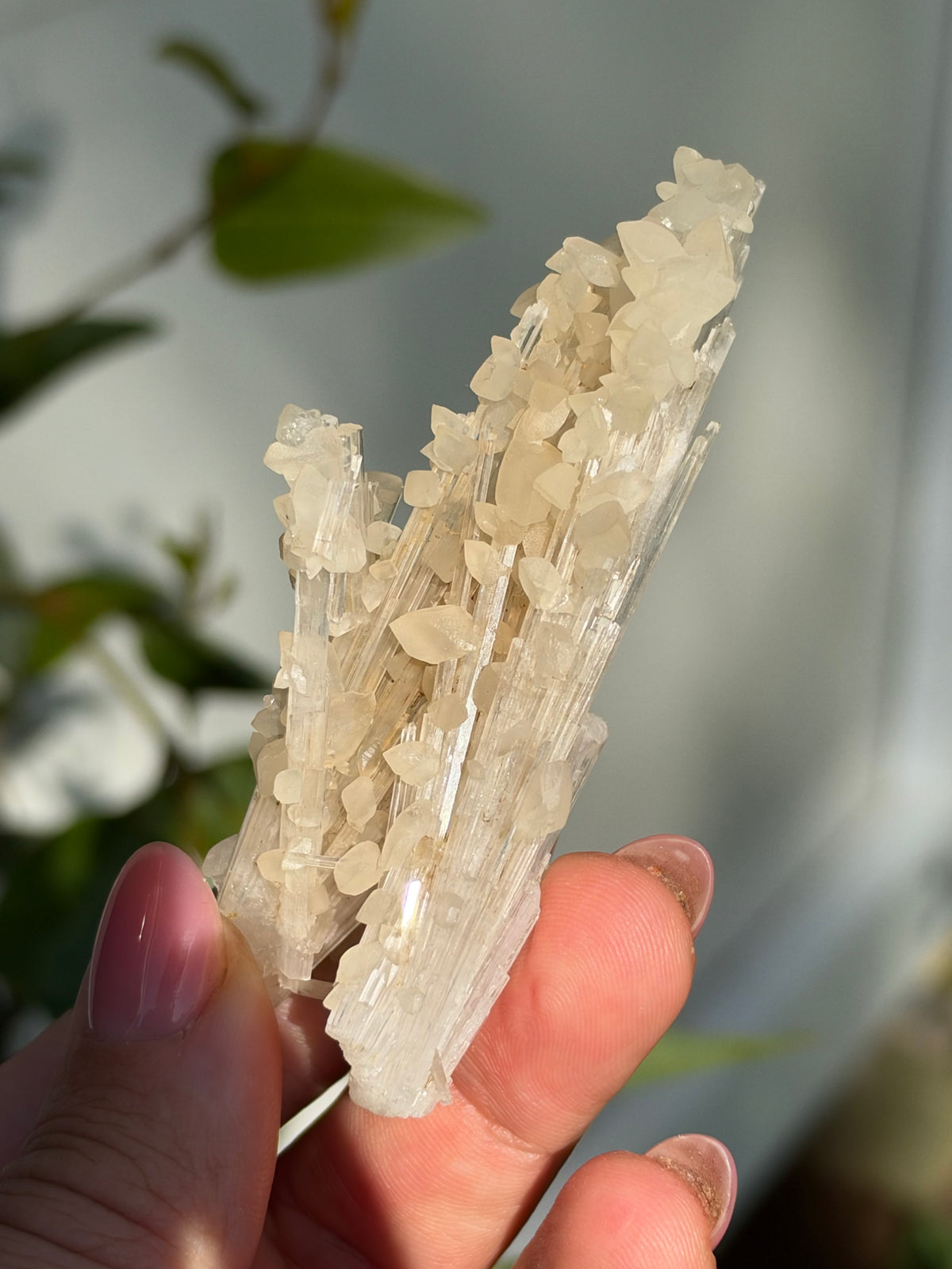 Calcite on Scolecite, Pune, India