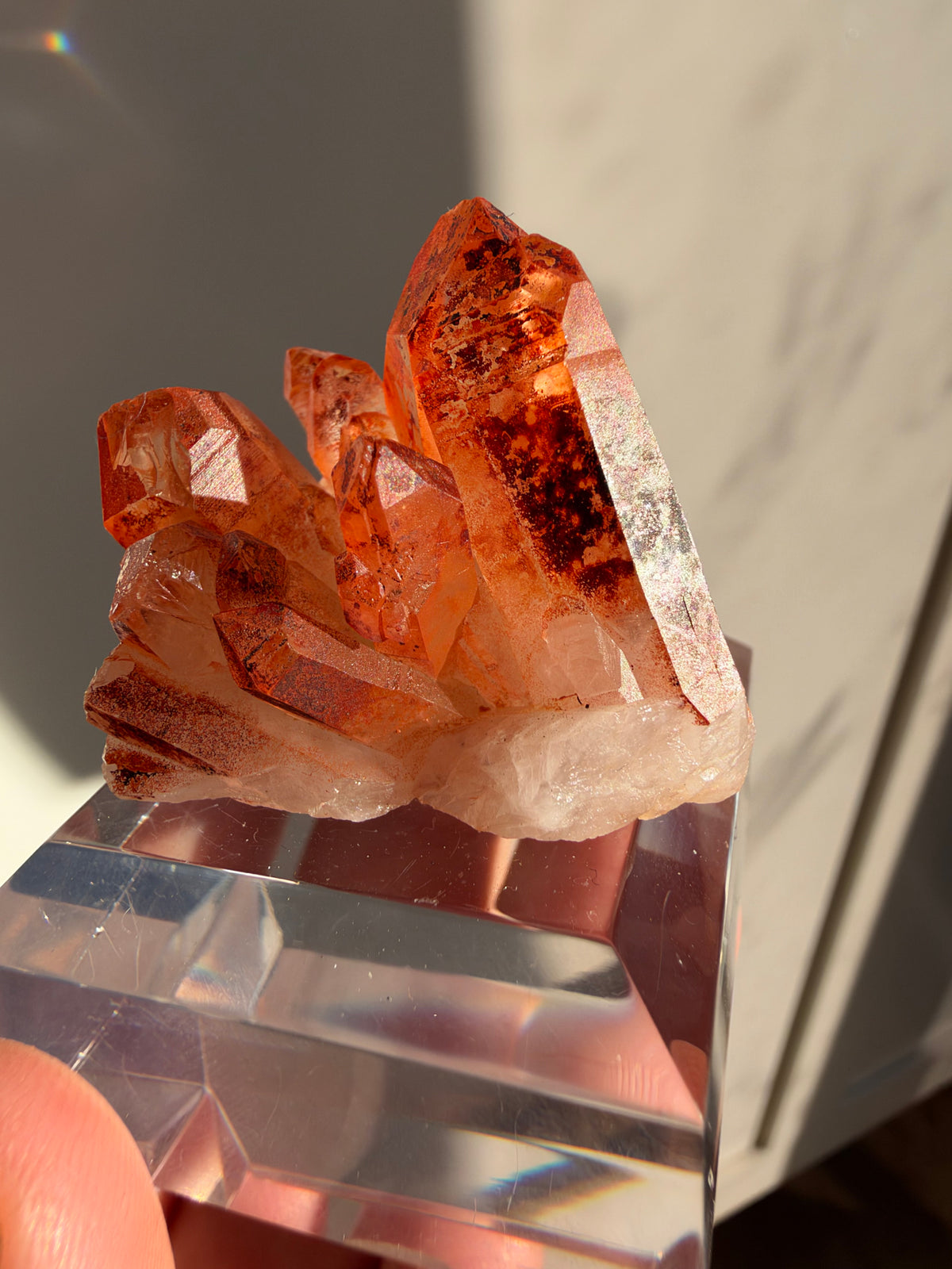Ferruginous Quartz, Tinejdad, Morocco