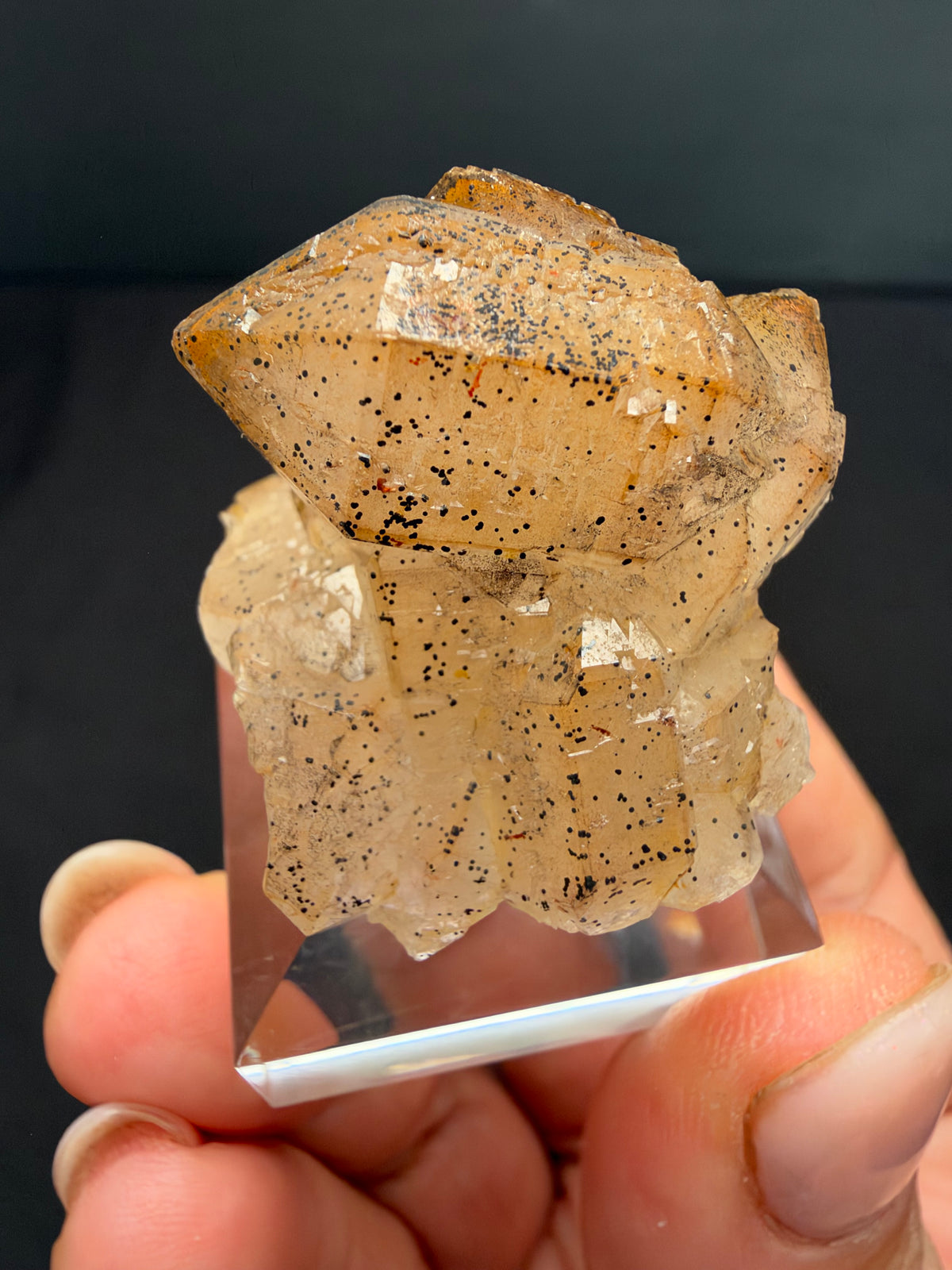 Quartz with Goethite, Tizirine, Morocco