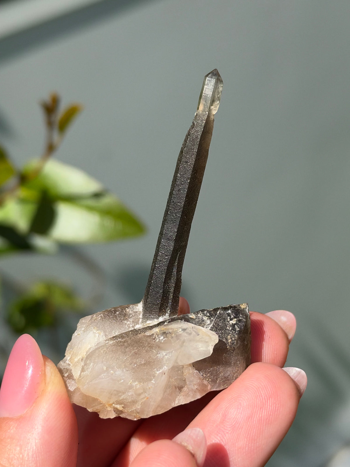 Smoky Quartz Scepter, Hallelujah Junction, Nevada, USA
