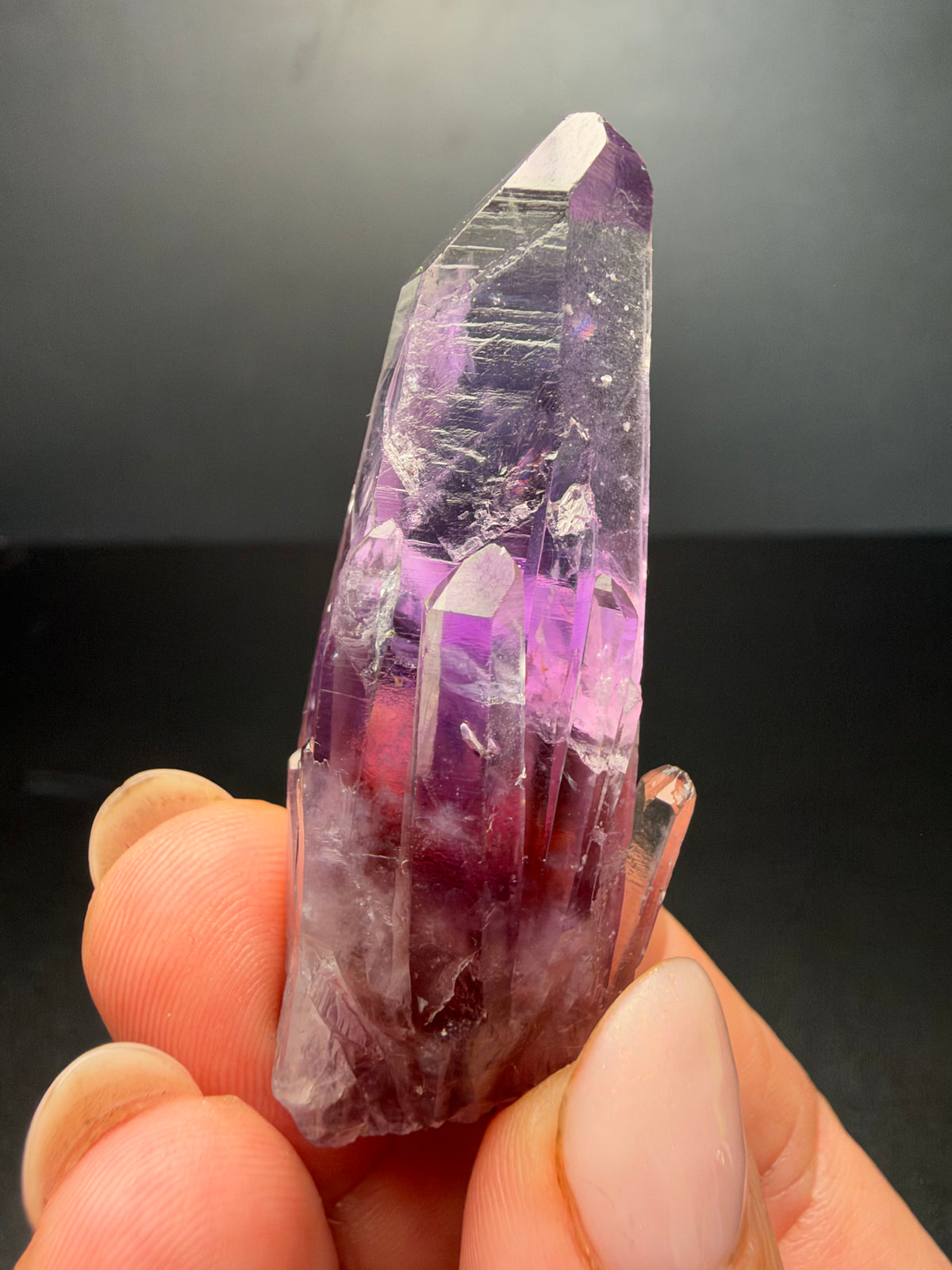 6.2cm Amethyst, Guerrero, Mexico