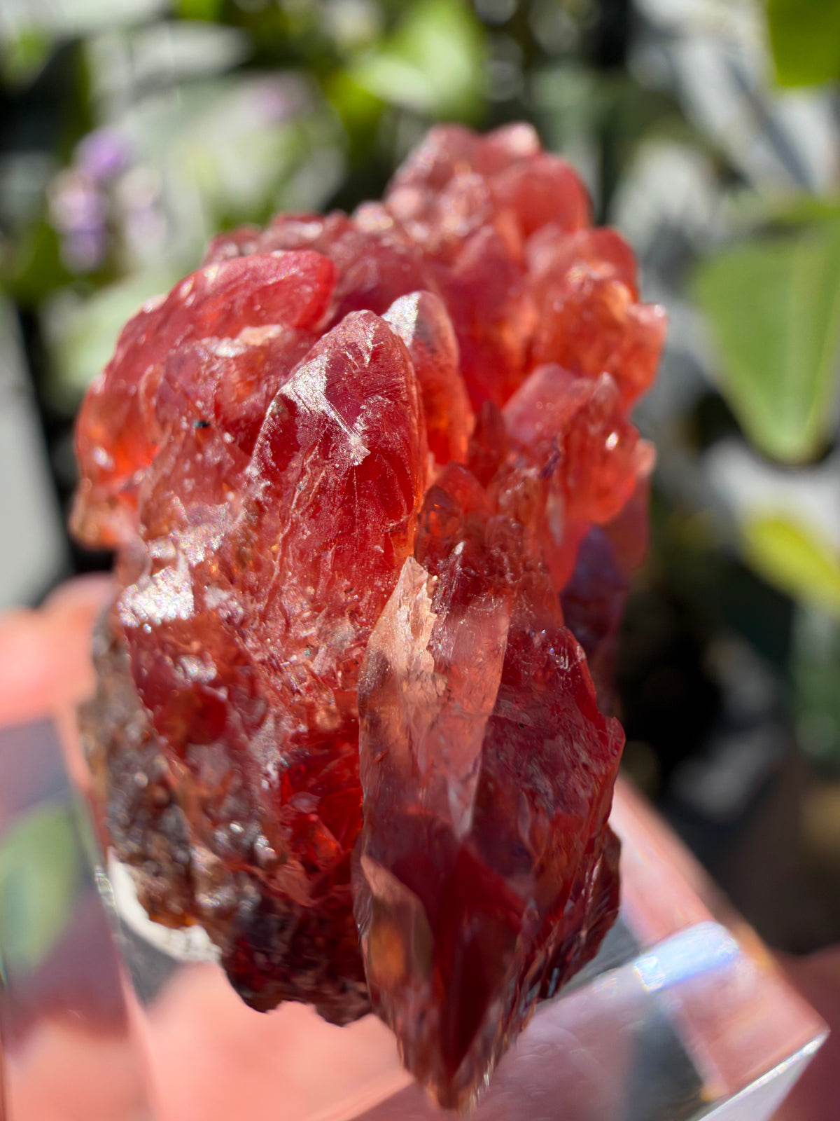 20.8g Rhodochrosite, N'Chwaning Mine, South Africa