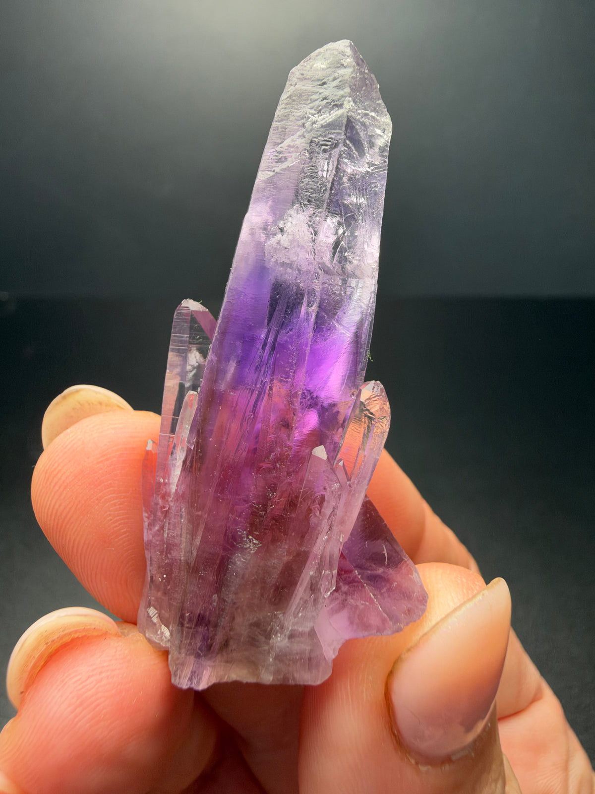 5.7cm Amethyst, Guerrero, Mexico