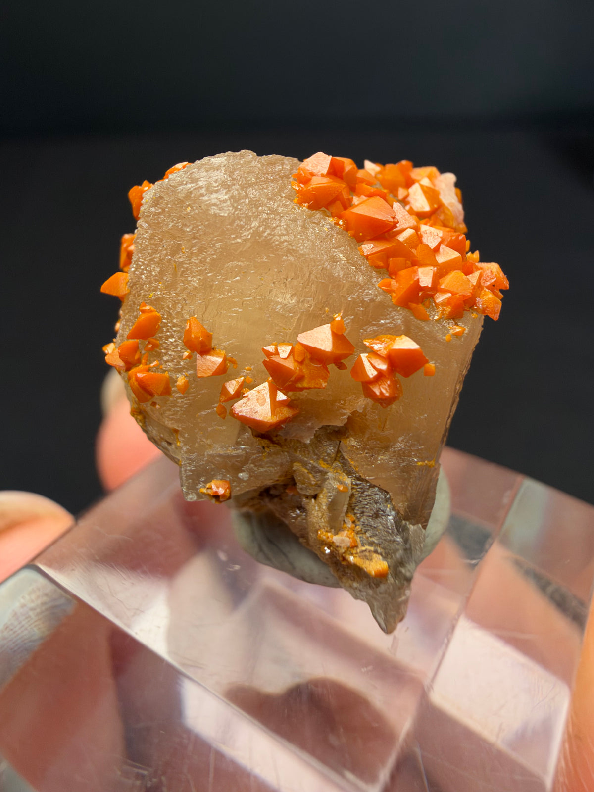 Wulfenite on Cerussite, Mibladen, Morocco