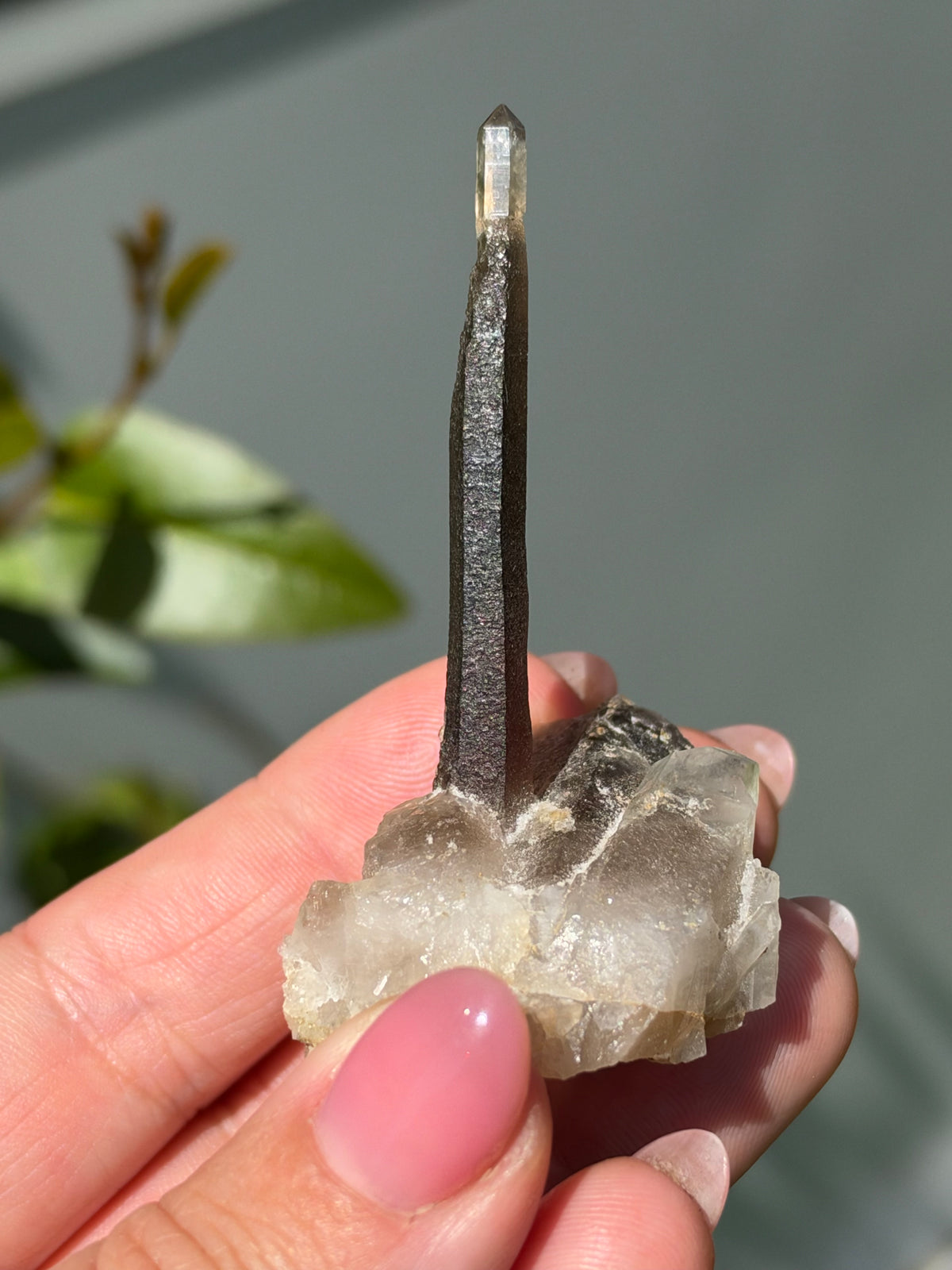 Smoky Quartz Scepter, Hallelujah Junction, Nevada, USA