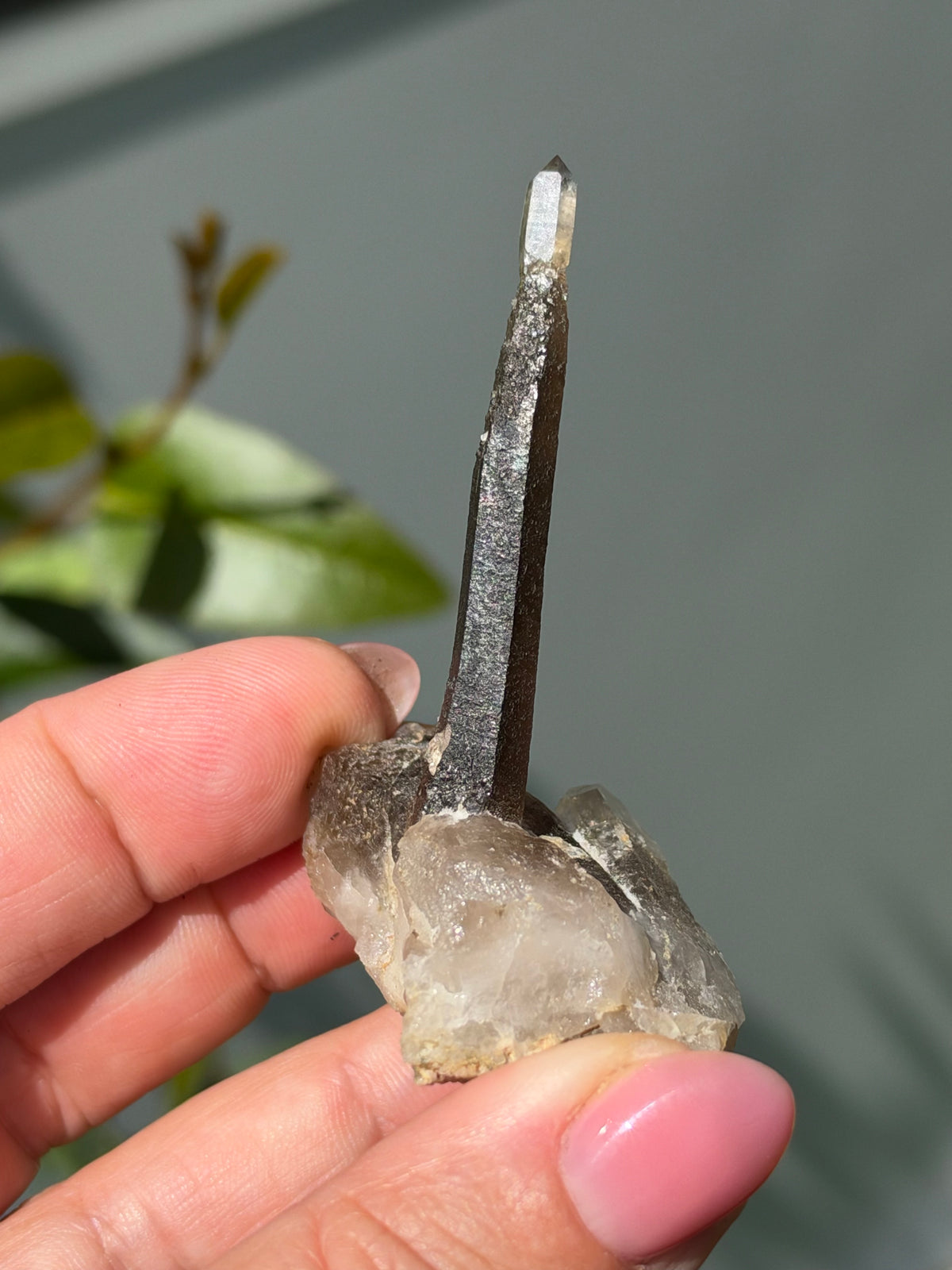 Smoky Quartz Scepter, Hallelujah Junction, Nevada, USA