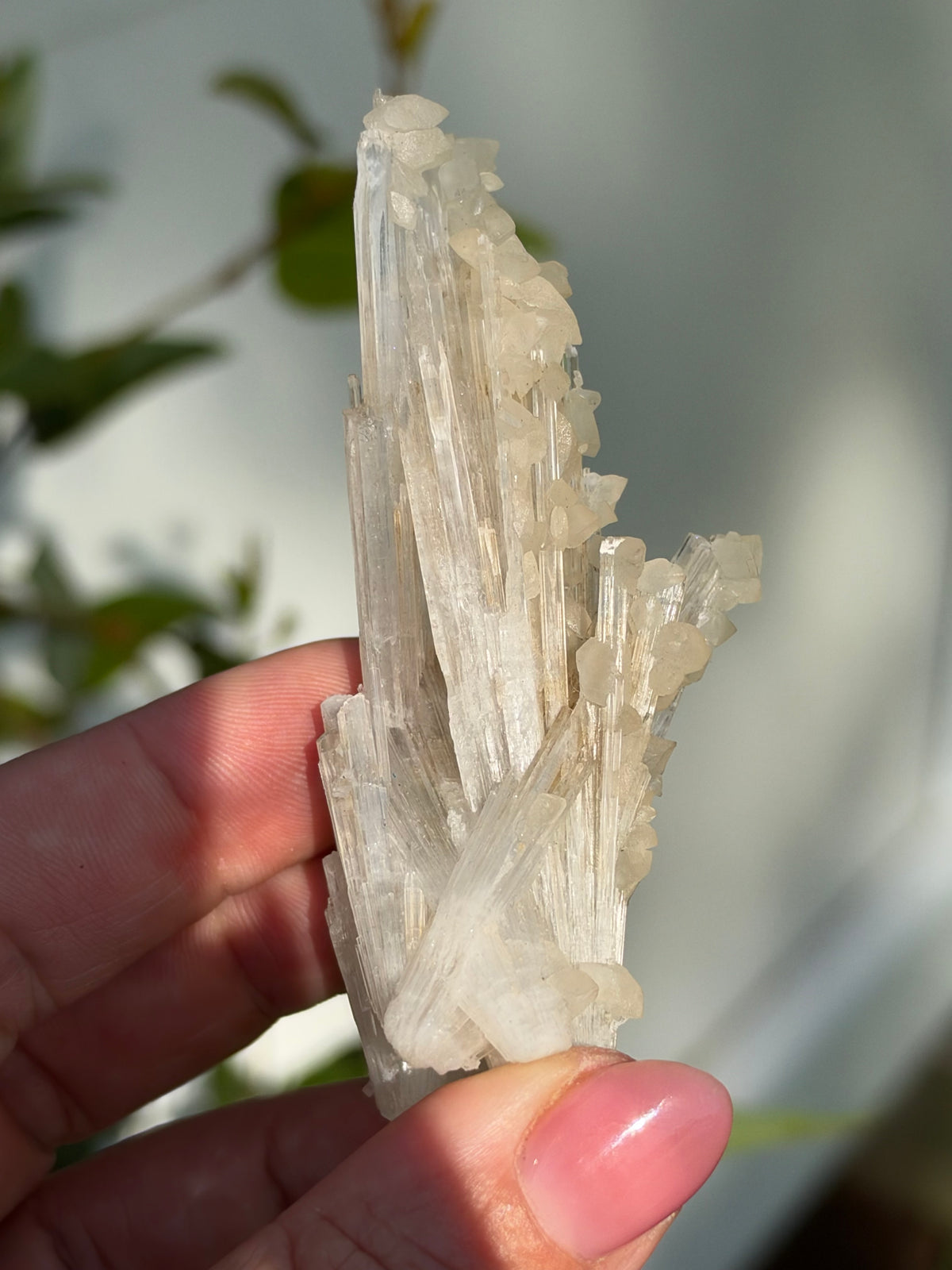 Calcite on Scolecite, Pune, India