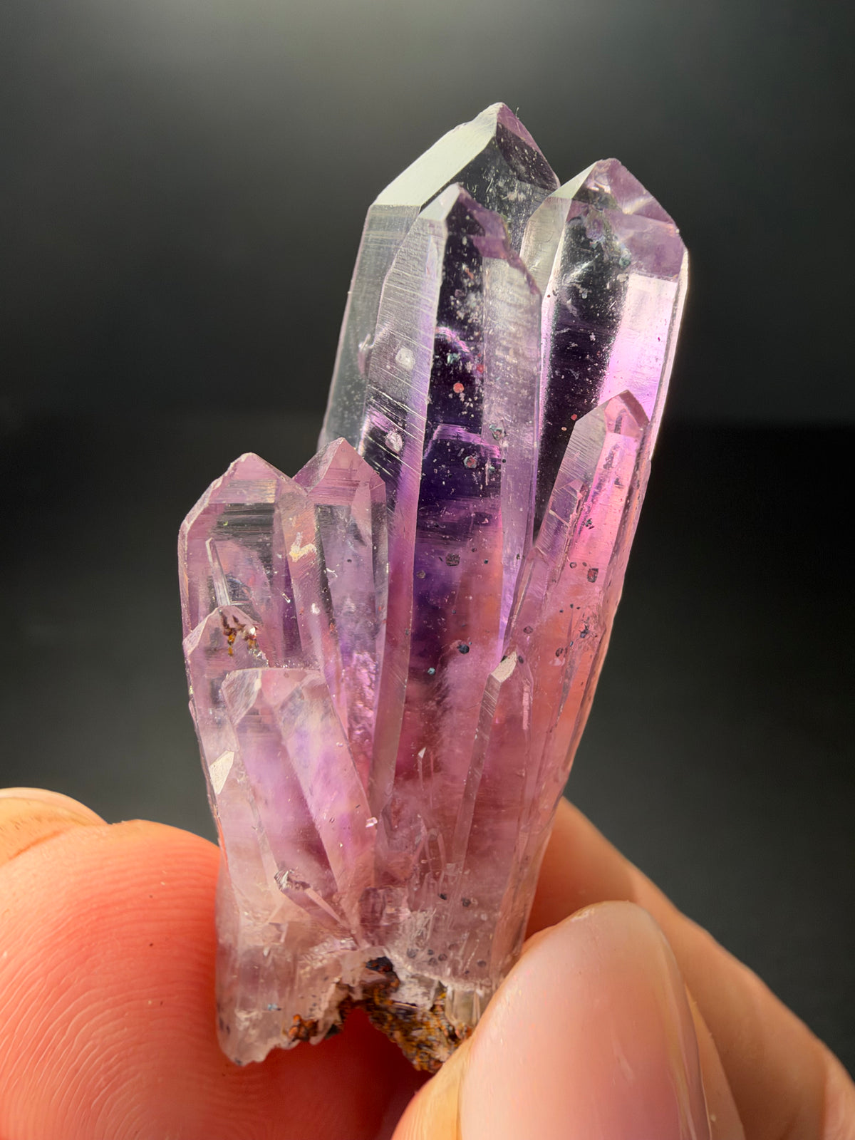 4.8cm Amethyst, Guerrero, Mexico