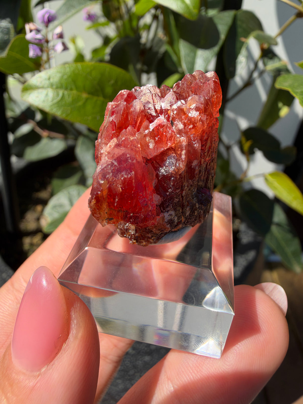 20.8g Rhodochrosite, N'Chwaning Mine, South Africa