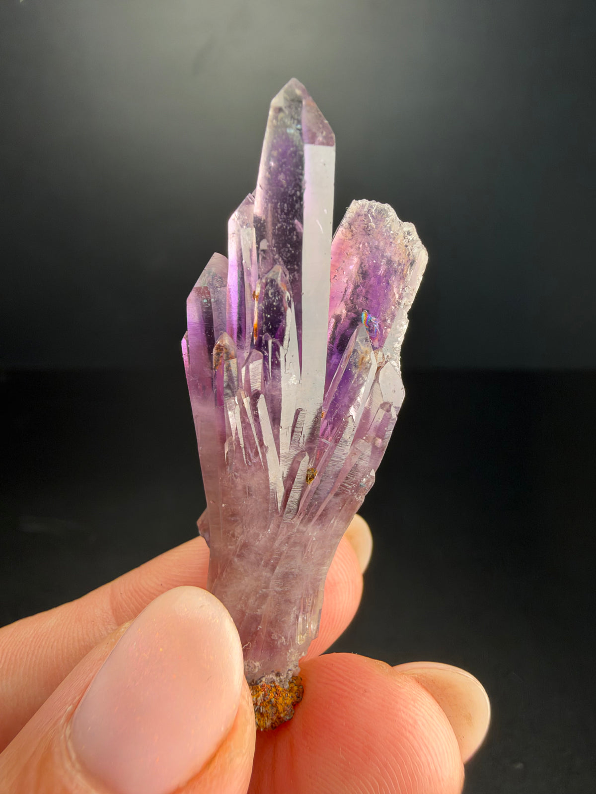 5.8cm Bowtie Amethyst, Guerrero, Mexico