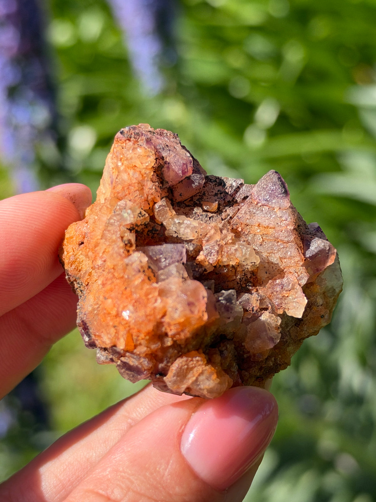 Octahedral Fluorite, Soldiers Cap, QLD, Australia