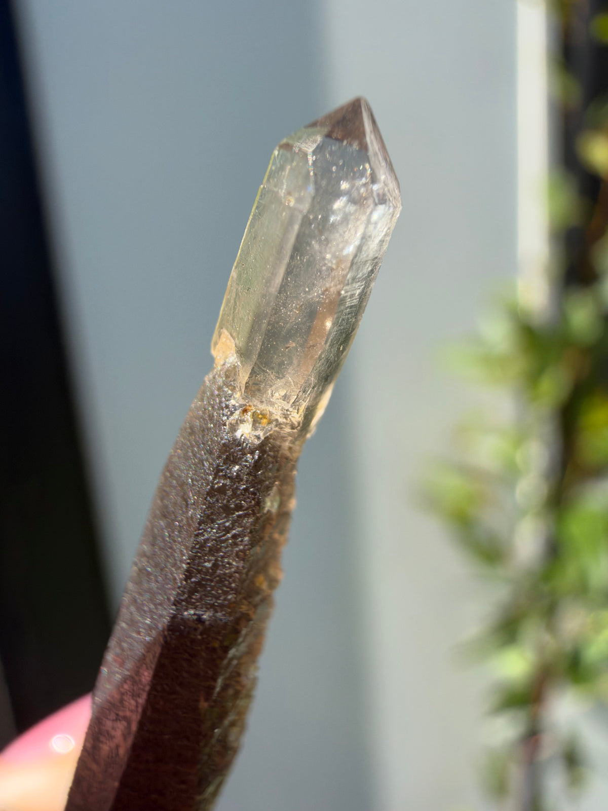 Smoky Quartz Scepter, Hallelujah Junction, Nevada, USA