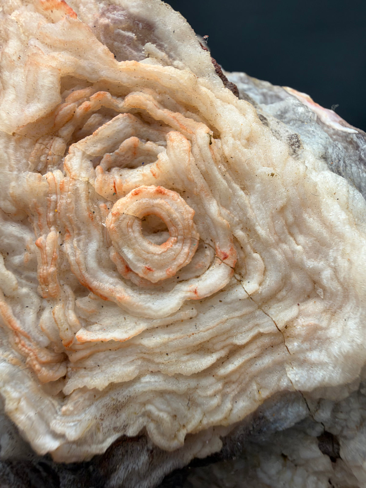 Chalcedony cast after Halite or Fluorite (Pseudomorph), Sidi Rahal, Morocco