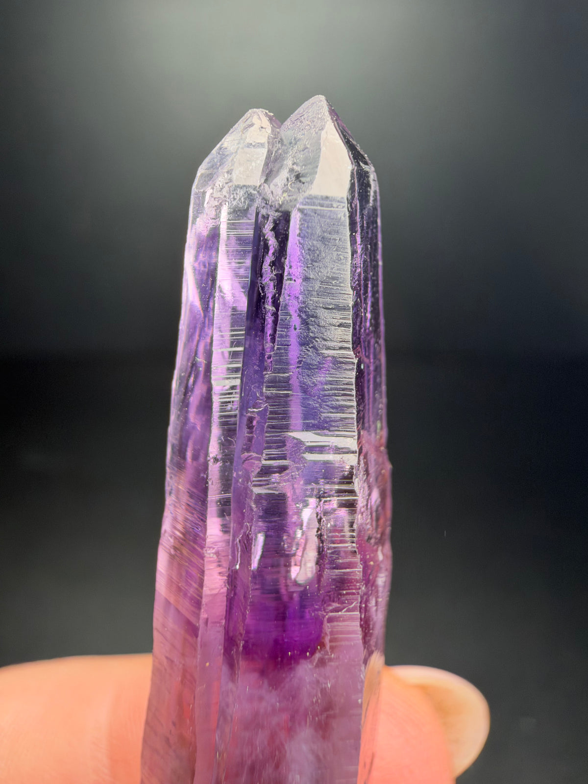 6.3cm Amethyst, Guerrero, Mexico