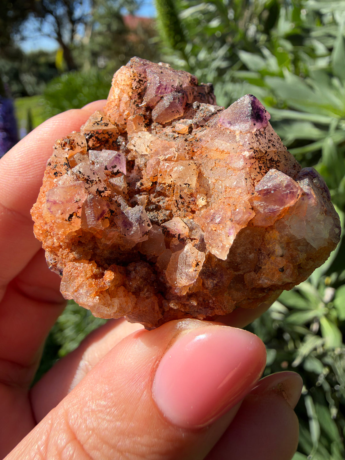 Octahedral Fluorite, Soldiers Cap, QLD, Australia