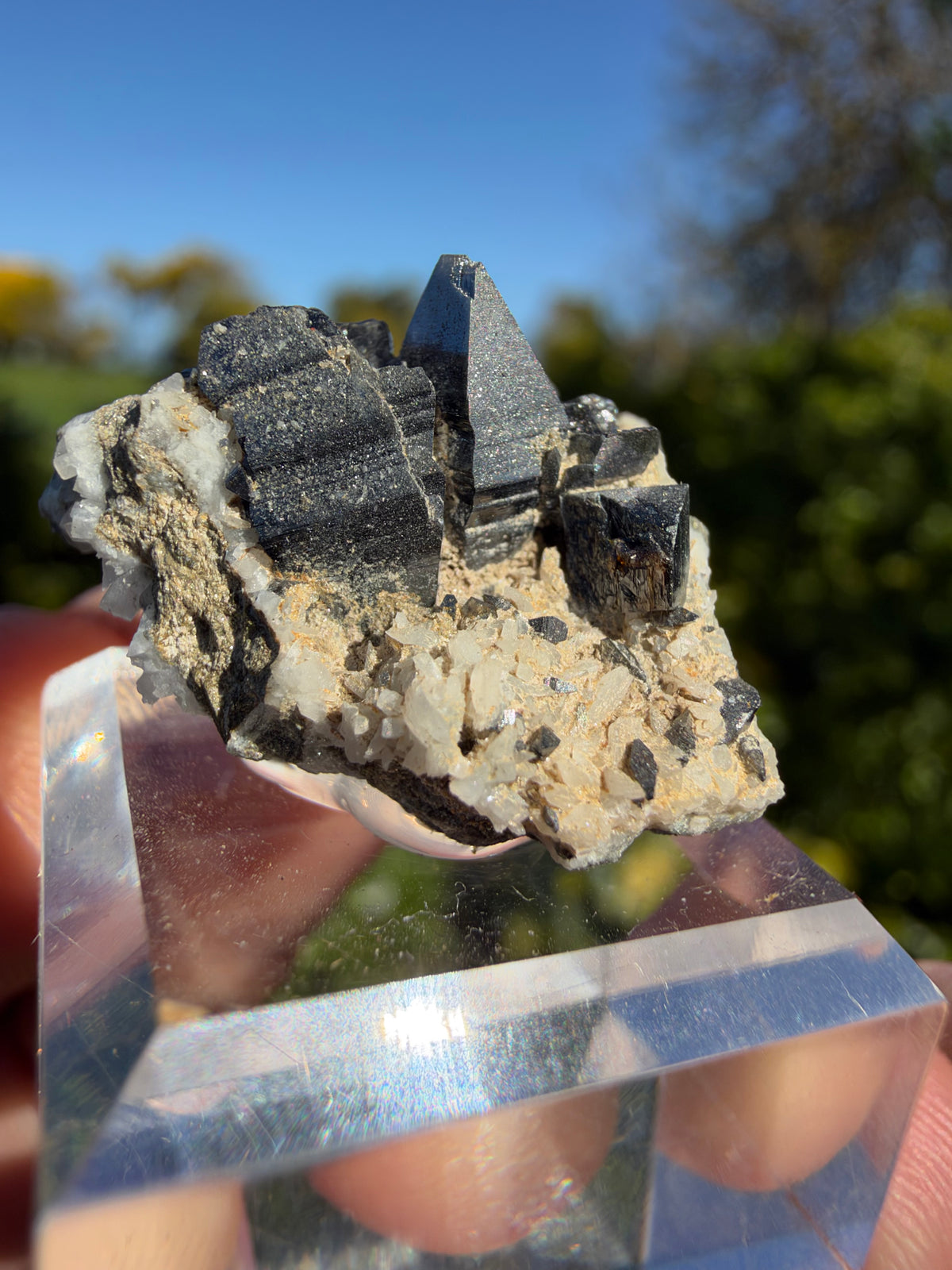 Anatase, Matskorhæ, Norway